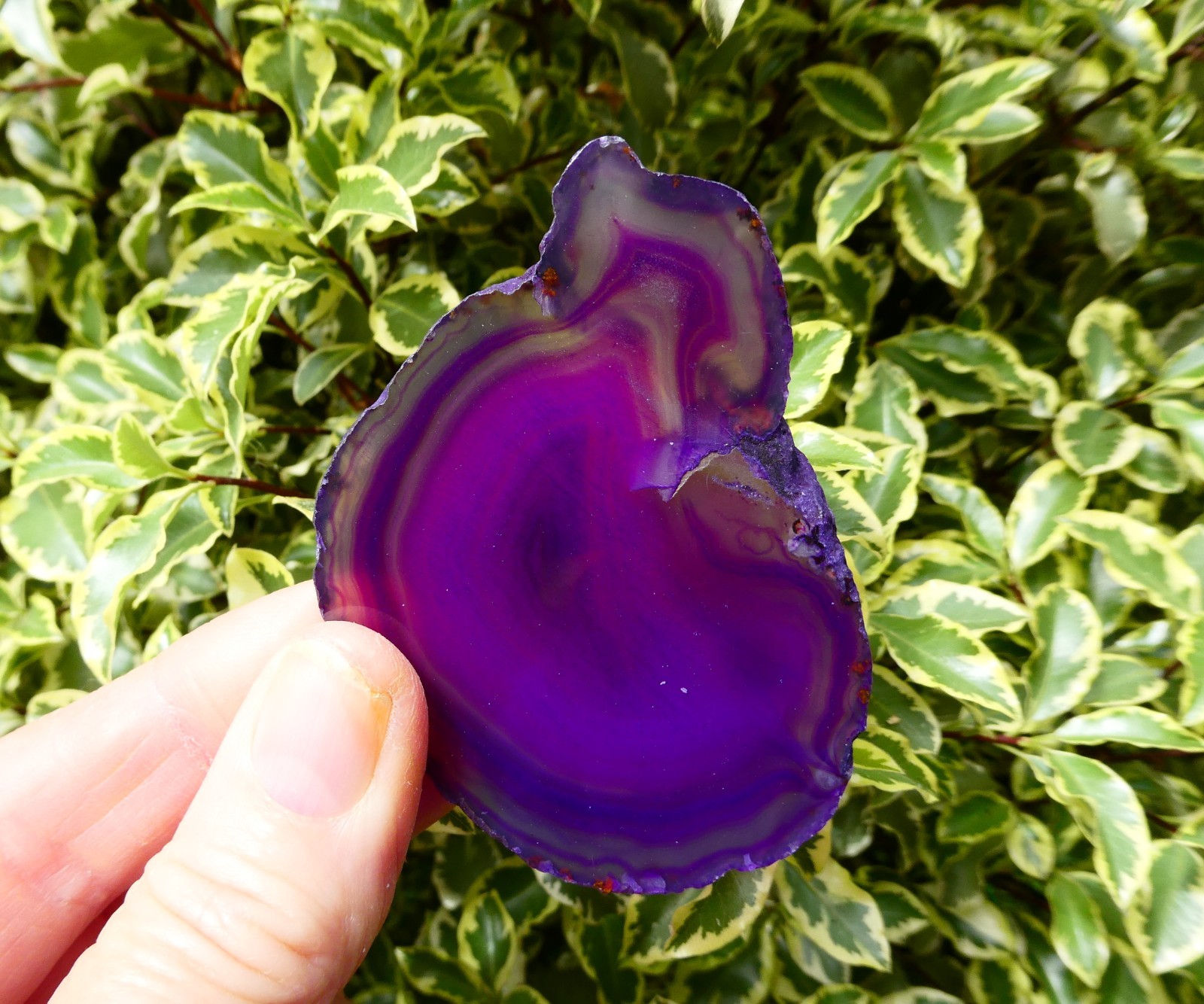 Large Polished Purple Agate Crystal Slice 68mm (6.8cm) x 52mm (5.2cm) Brazil