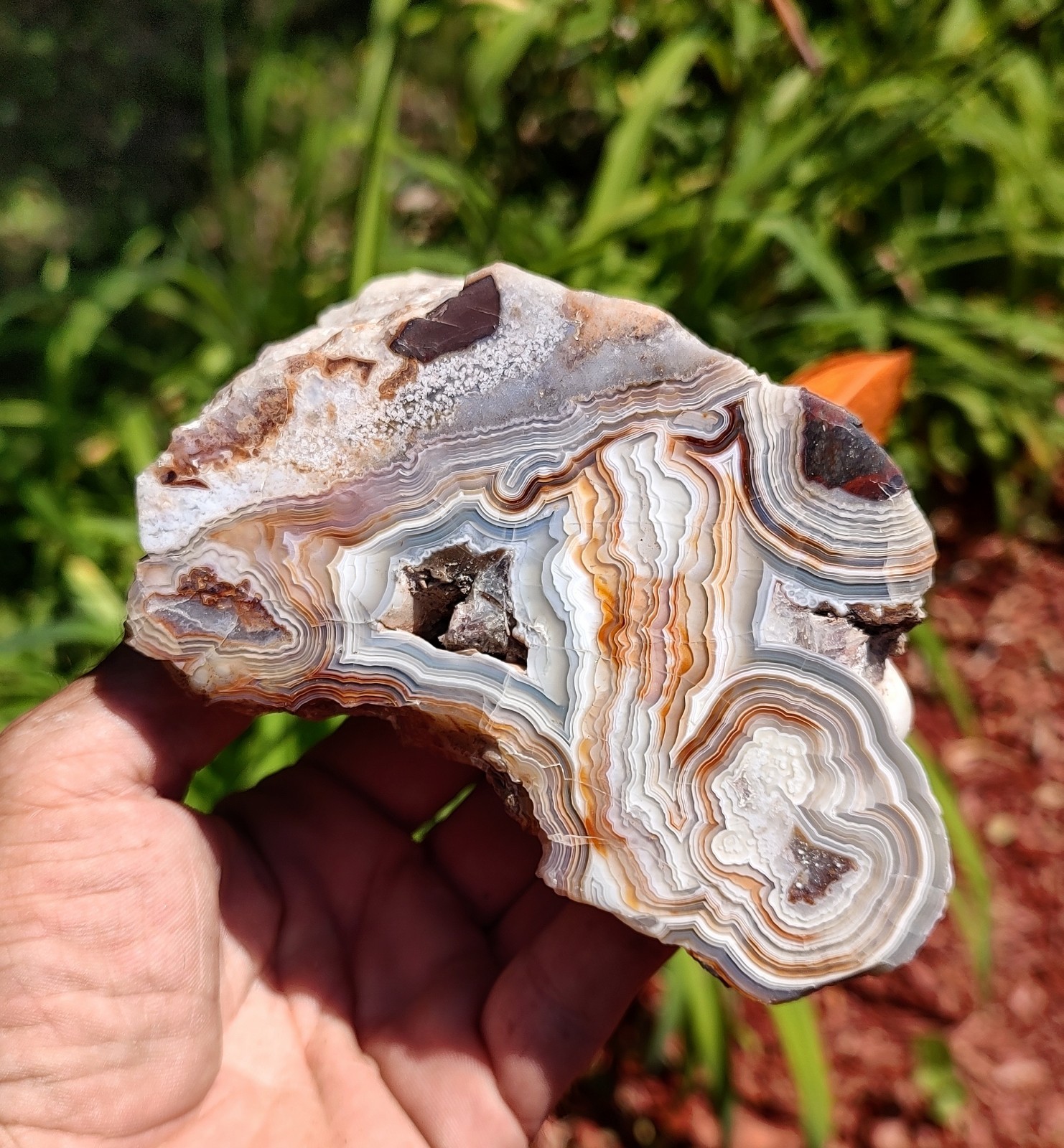 Mexican Crazy Lace Banded Agate, 722g Outstanding Face Polished, Display Agate