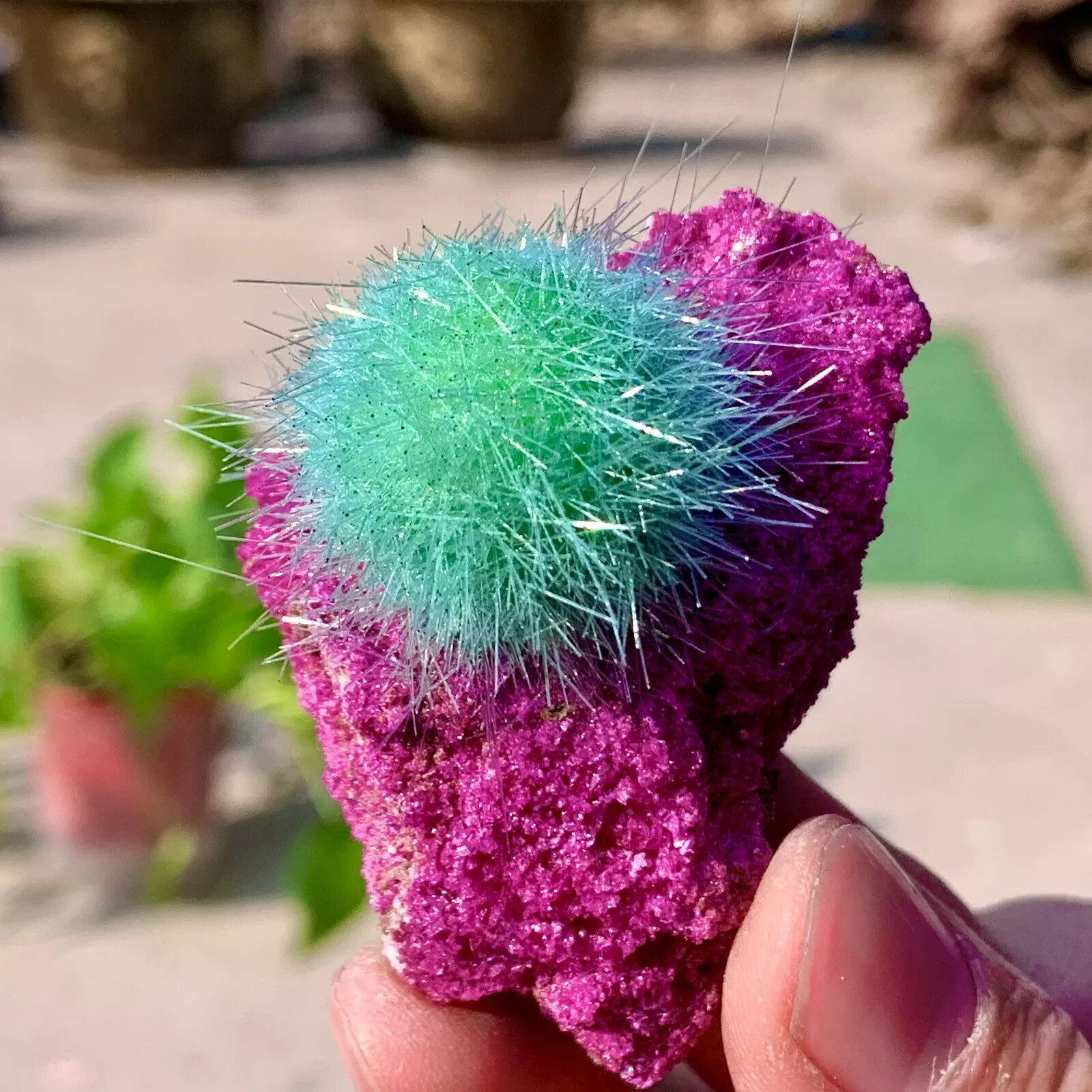 Rare Dandelion Zeolite Cluster Quartz Geode Specimens Mineral Crystal Decor