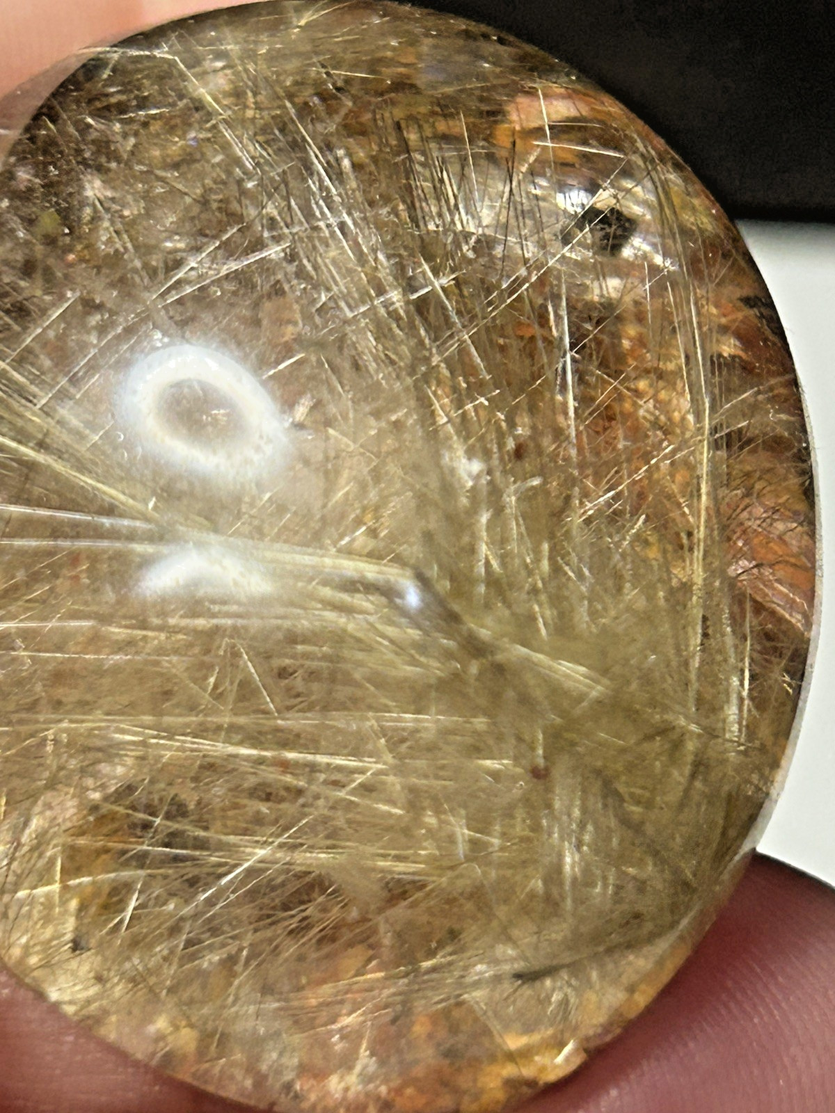 Clear Garden Quartz Lens With Gold Rutile Tree 48g/38.6mm x 30.8mm x 19.6mm
