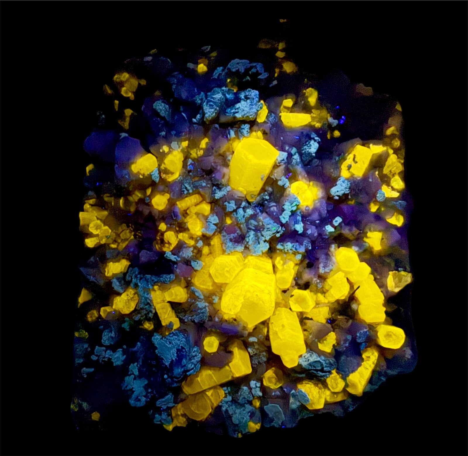 220 GM Full Terminated Apatite Crystals Bunch, Phosphorescent Unknown On Matrix
