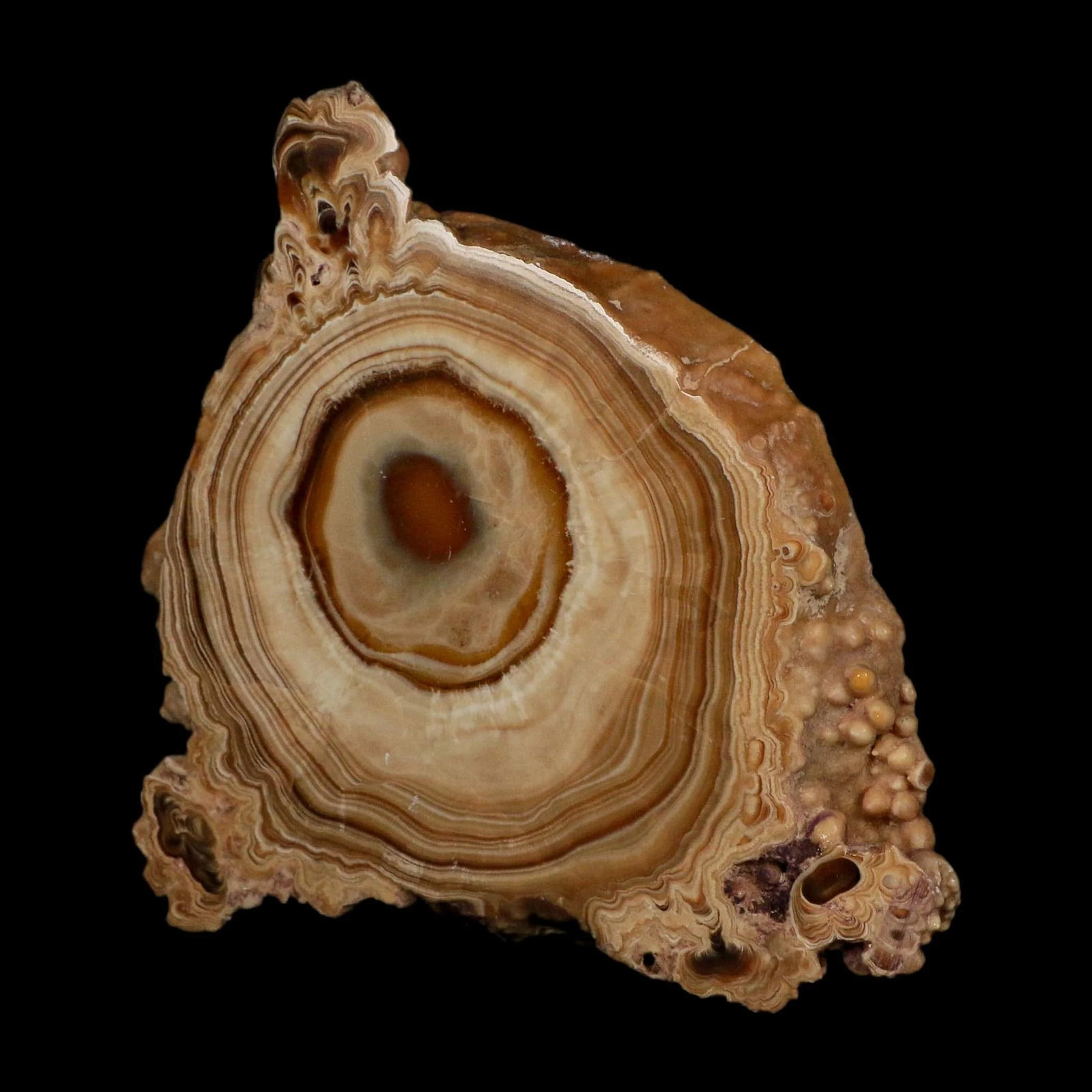 5.6″ Aragonite Stalactite Slice Cave Calcite Crystal Mineral Specimen Morocco