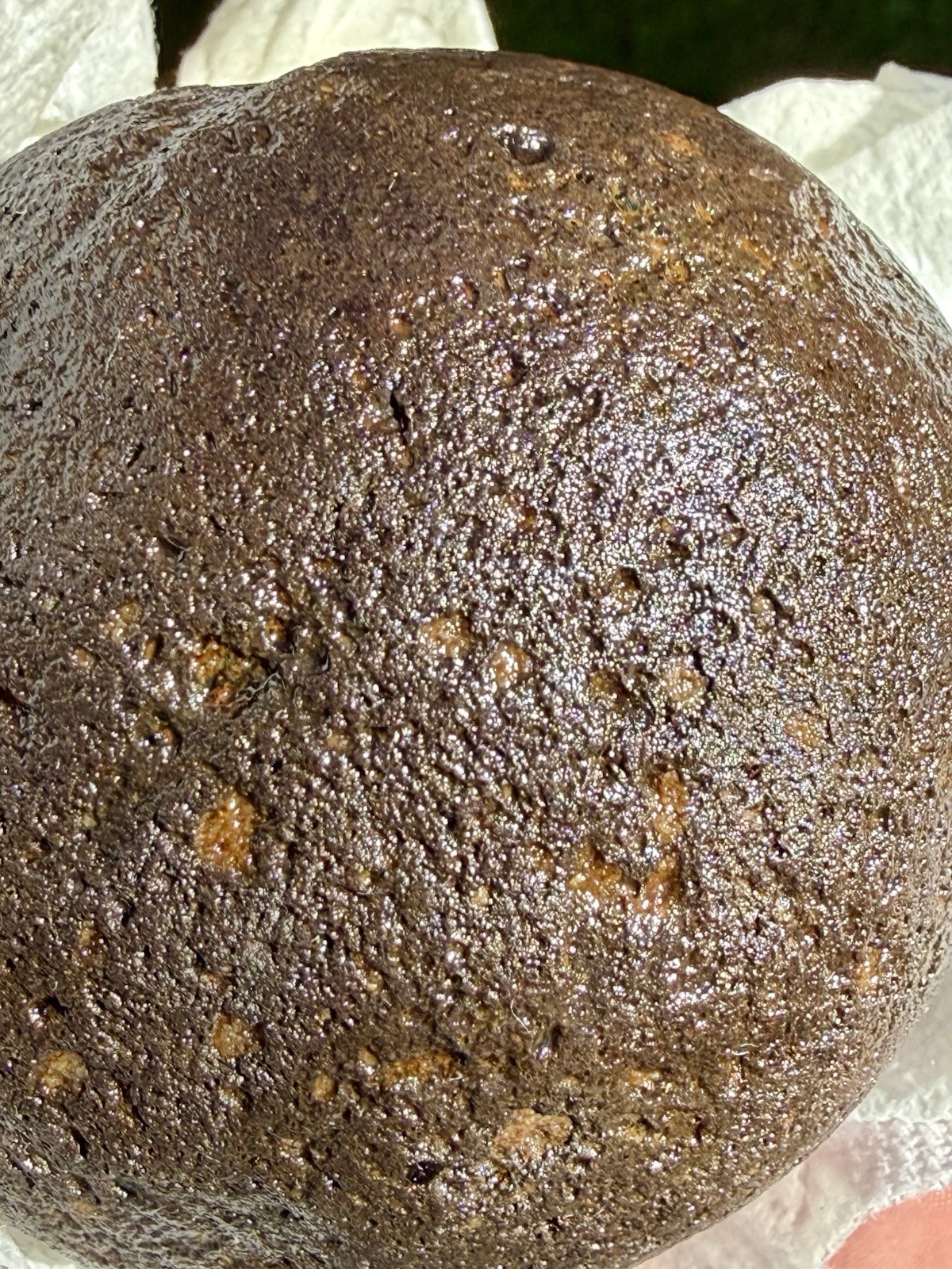 NATURAL SPHERICAL RHYOLITE OR SANDSTONE? CONGLOMERATE ROUND SPHERE STONE ROCK CA