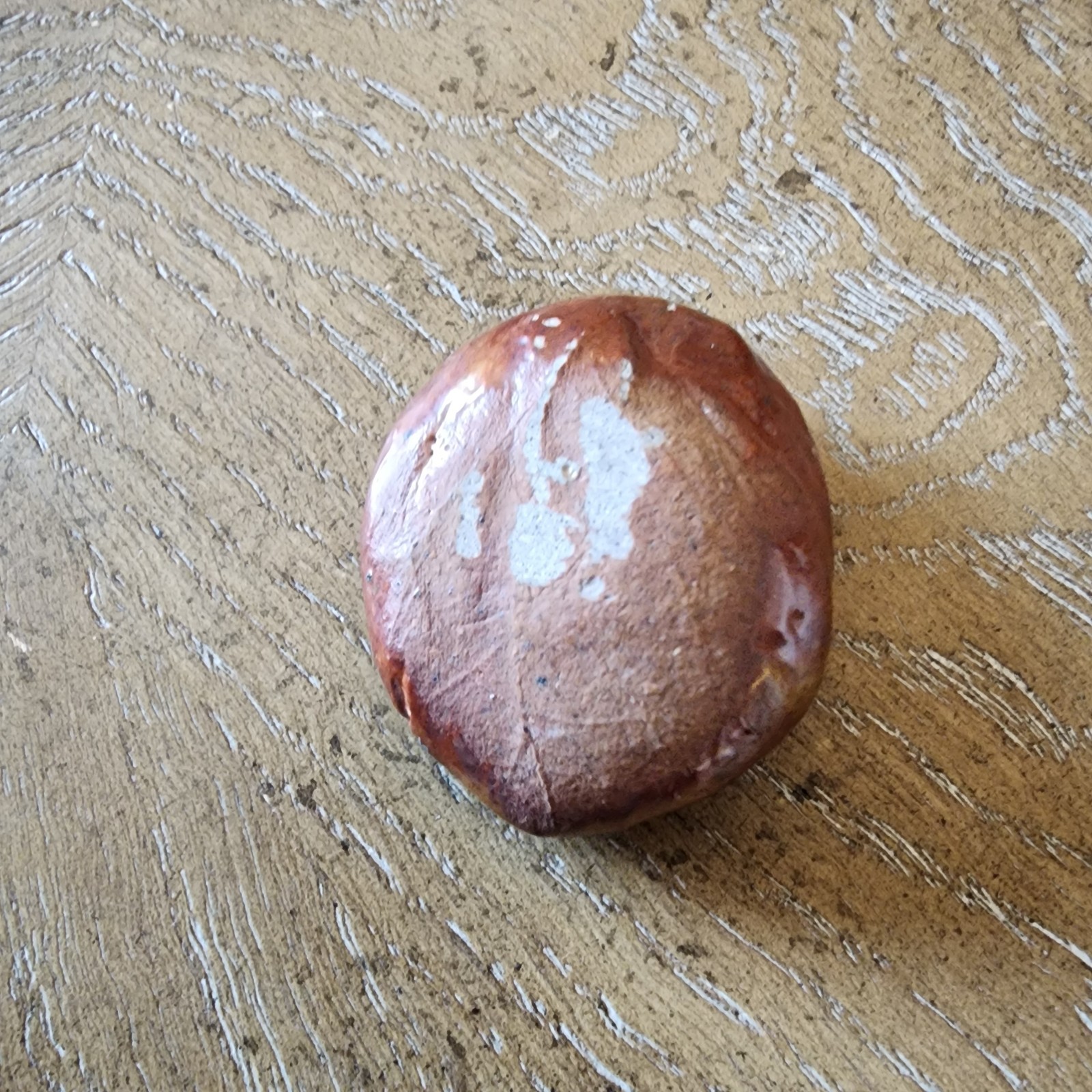 Fossilized Sea Shell Rock Green Crystals Preserved With Clear Coating