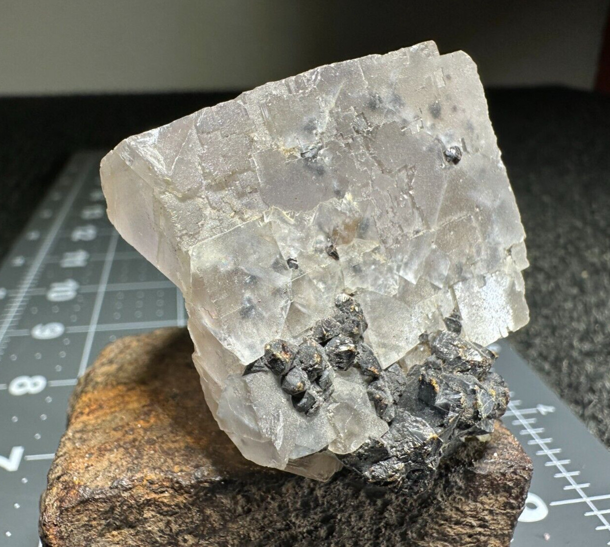 ➤ 1-5/8″ WHITE FLUORITE CUBE with SPHALERITE Cave In Rock Illinois VIDEO➤254