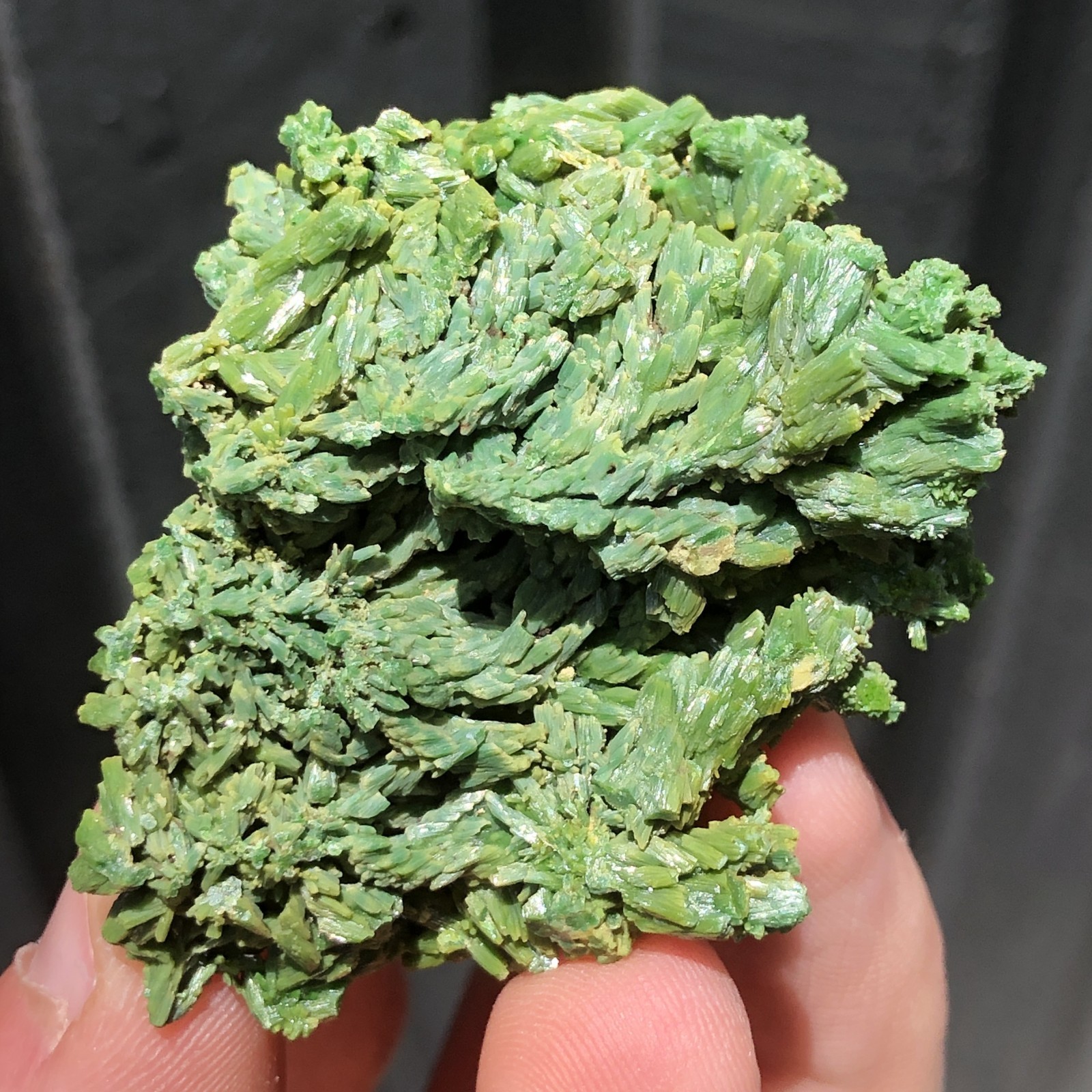5.7cm Pyromorphite Crystal Cluster from Les Farges Mine, France