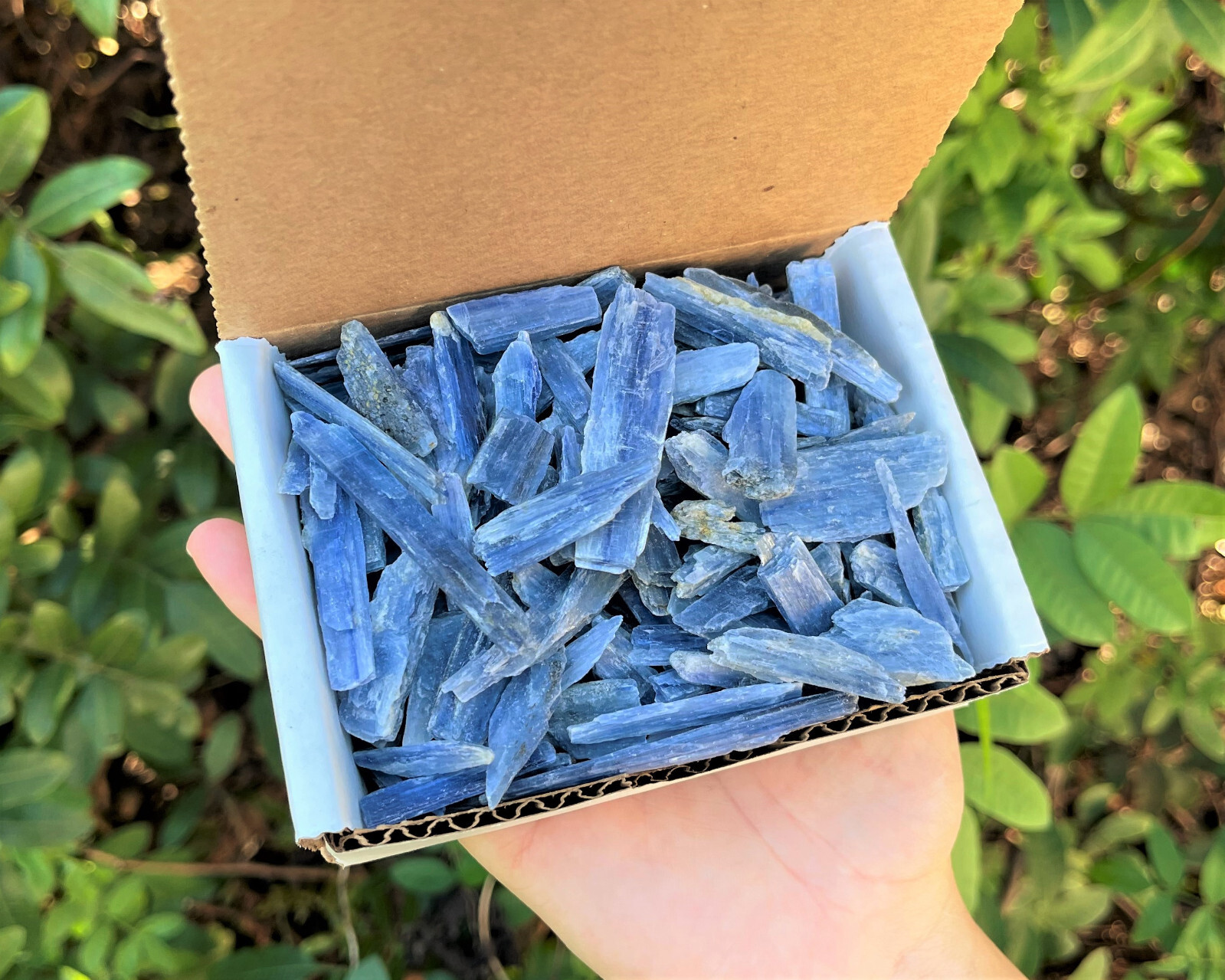 Blue Kyanite Blades Crystal Collection 1/2 lb Box Lot – Natural Kyanite Crystals