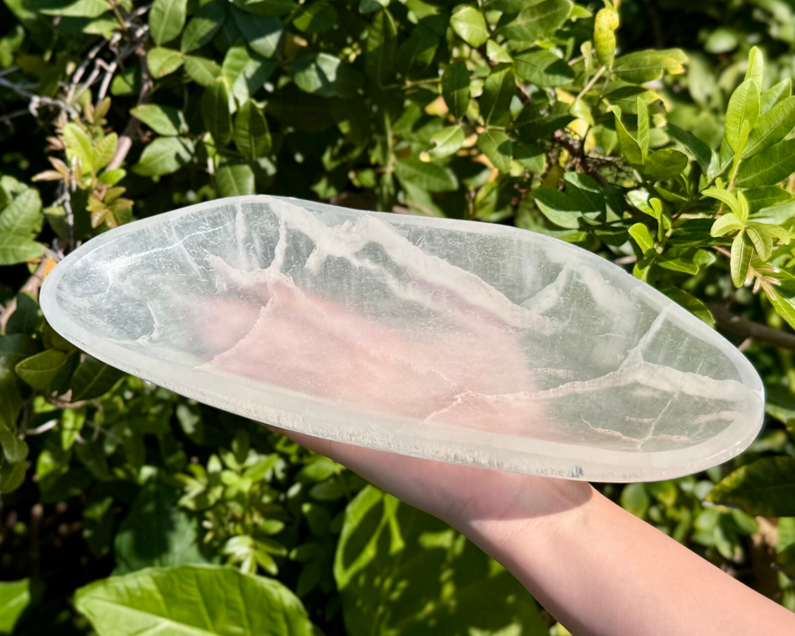 HUGE 10″ Selenite Free Form Charging Bowls (Selenite Crystal Bowl,Selenite Bowl)