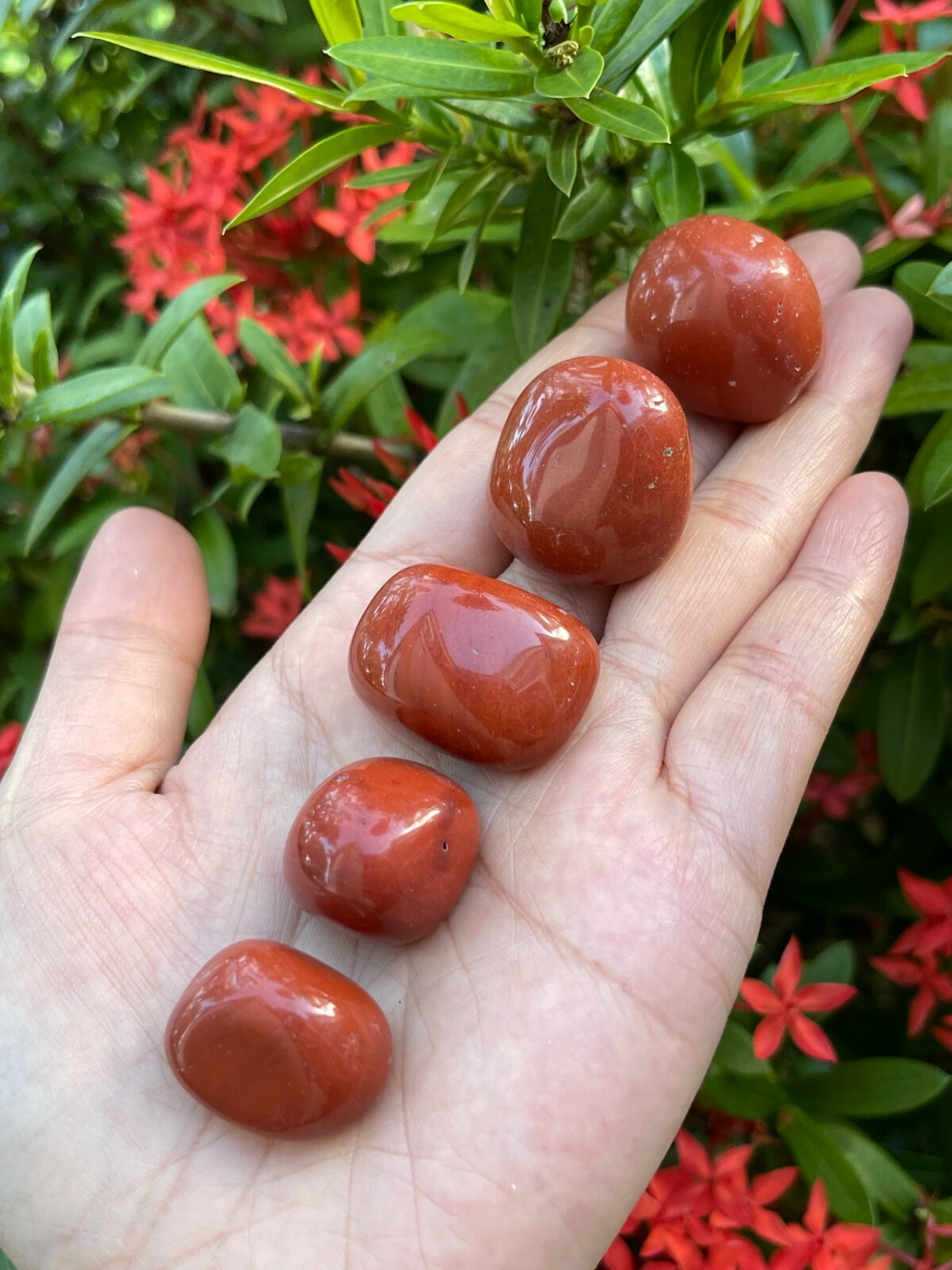 Grade A++ Red Jasper Tumbled Stones, 0.8″-1.25″ Tumbled Red Jasper,Pick How Many