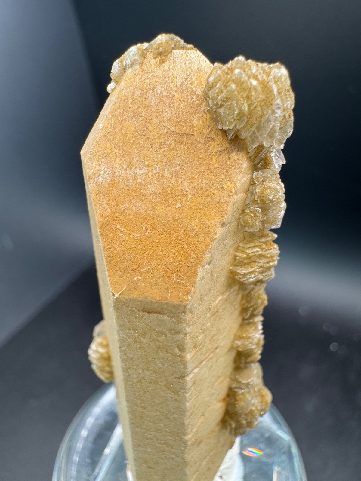 6525 Yellow Candle Quartz Point with Petal Calcite Inner Mongolia 40g
