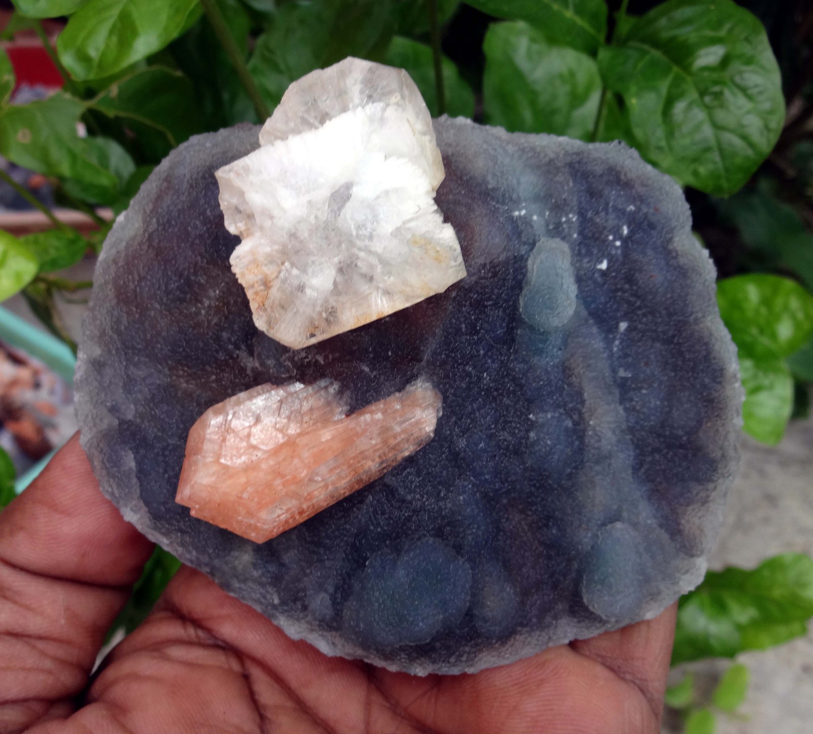 stilbite w/ apophyllite & chalcedony matrix minerals specimen j-6