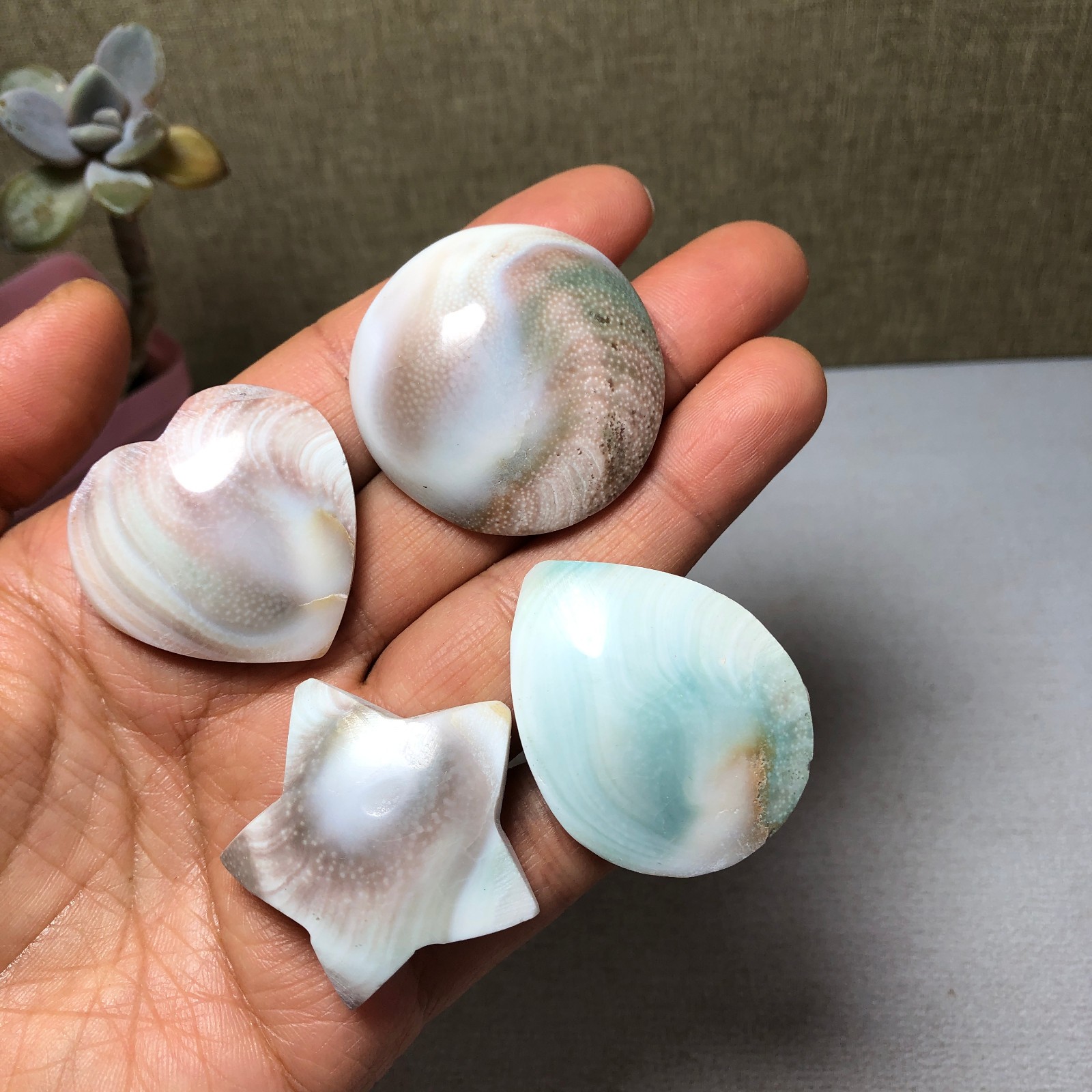 4pcs Rare sun shell Reiki Shiva Eye ocean semi-precious stone 75g A2758