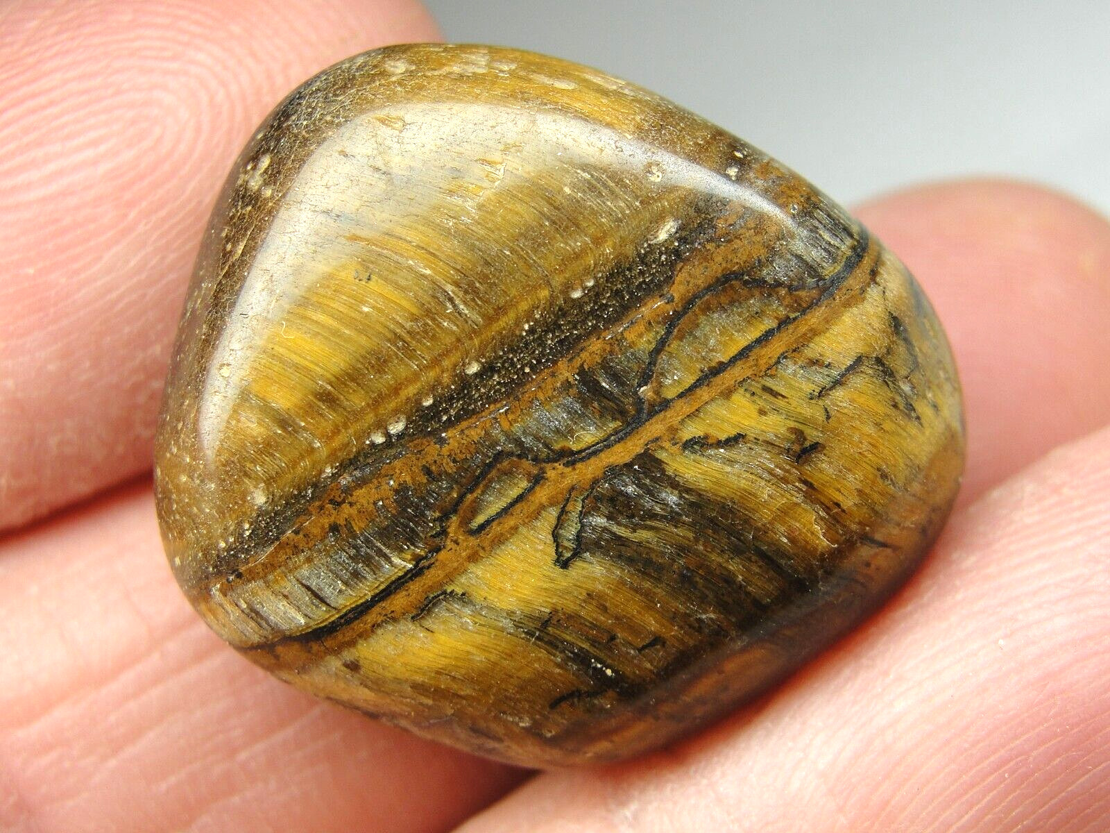 GOLD TIGER EYE – SOUTH AFRICA – HIGH POLISH – M-4582 – 12.34g EXCELLENT DETAILS