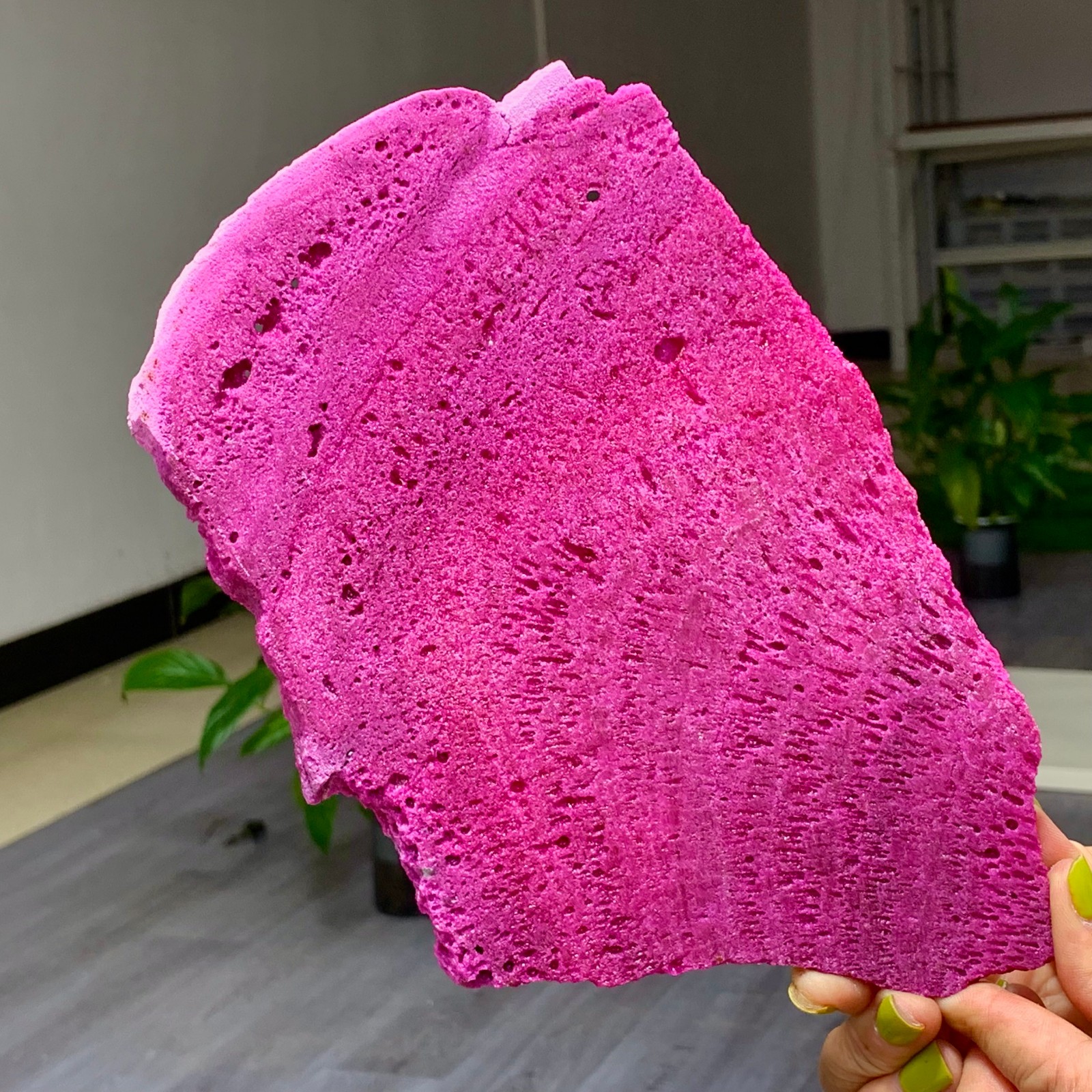 1.14LB Natural Rough Red Corundum Phlogo Pit Mineral Spirits Ruby Raw Gemstone