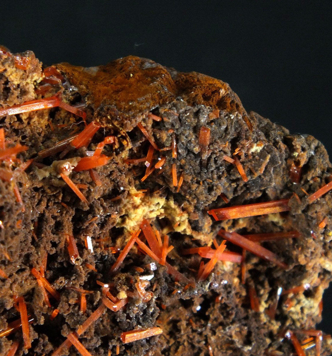 Crocoite Crystals. Adelaide Mine Dundas. Tasmania Australia (EA11520)