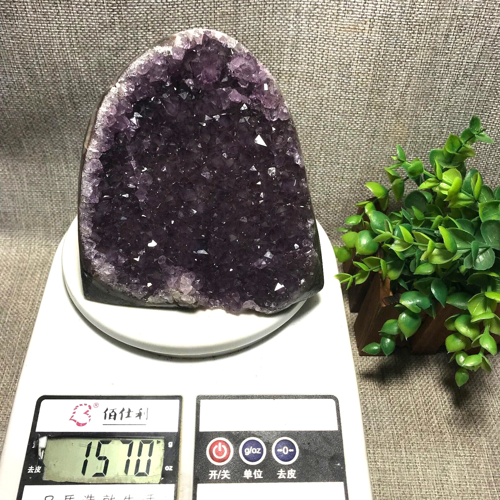 1570g Natural Amethyst Cluster Geodes Cut Base Quartz Crystal Healing 33