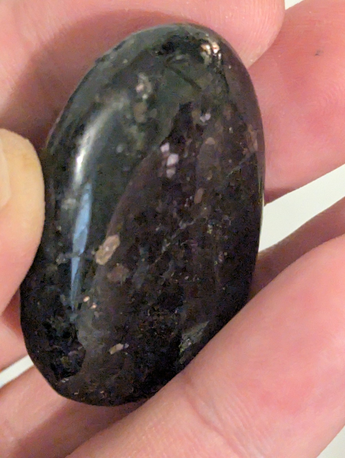 Flat Round Ovular sparkling Palm Stone