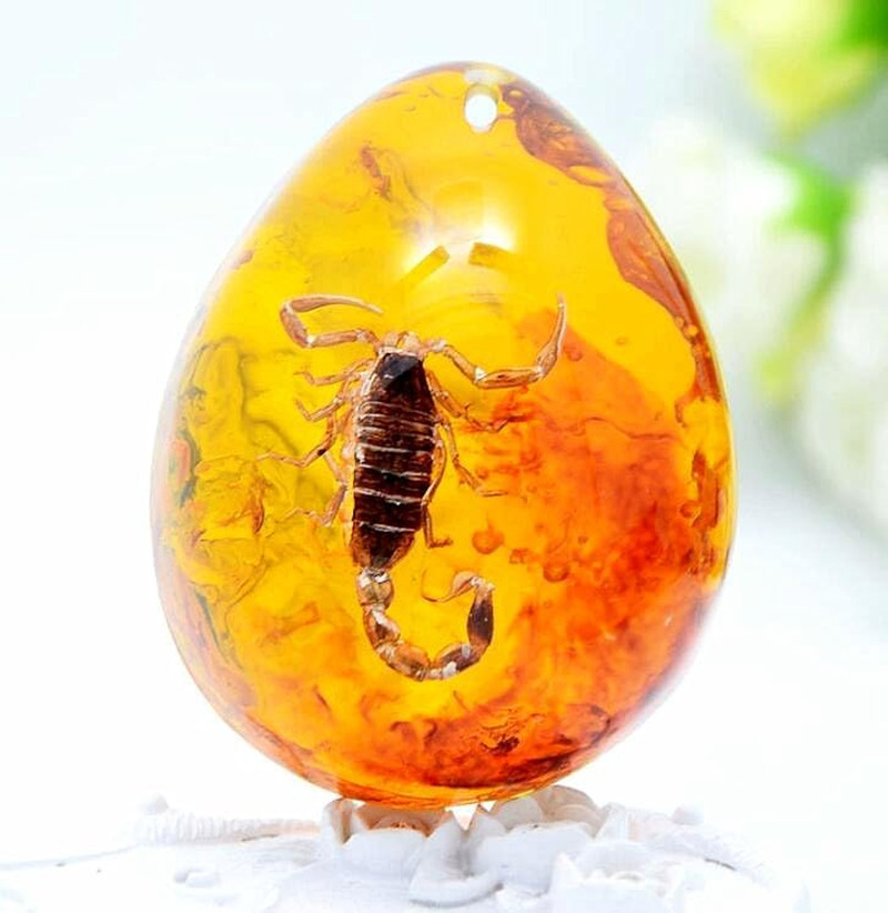 Resin Amber Insect Pendant Scorpion Fossil Stone Crystal Home