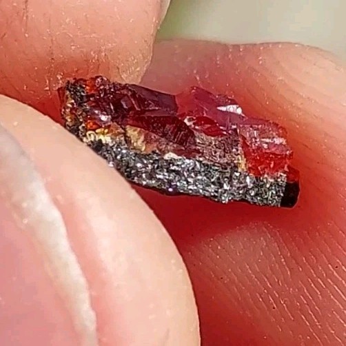 ULTRA RARE GEM RHODOCHROSITE ON MATRIX N’Chwaning I Mine, KMF, South Africa