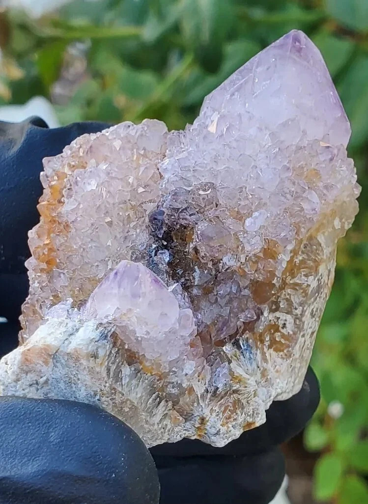 Amethyst Spirit Quartz Crystal Cactus Specimen 72g – South Africa