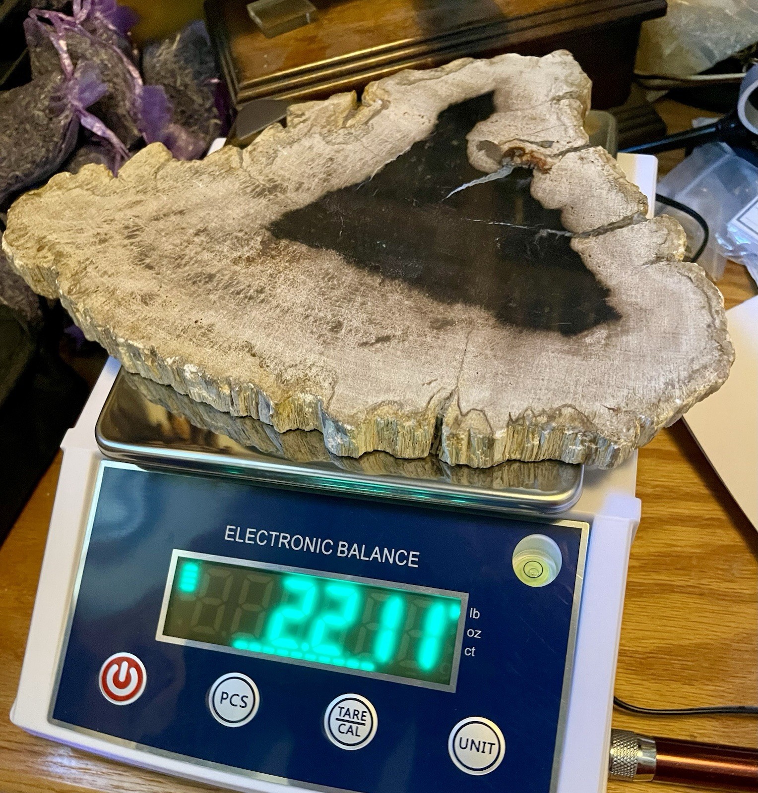 Petrified Wood From Madagascar Natural Fossils 9”11/64 x 7”7/32 x 45/64