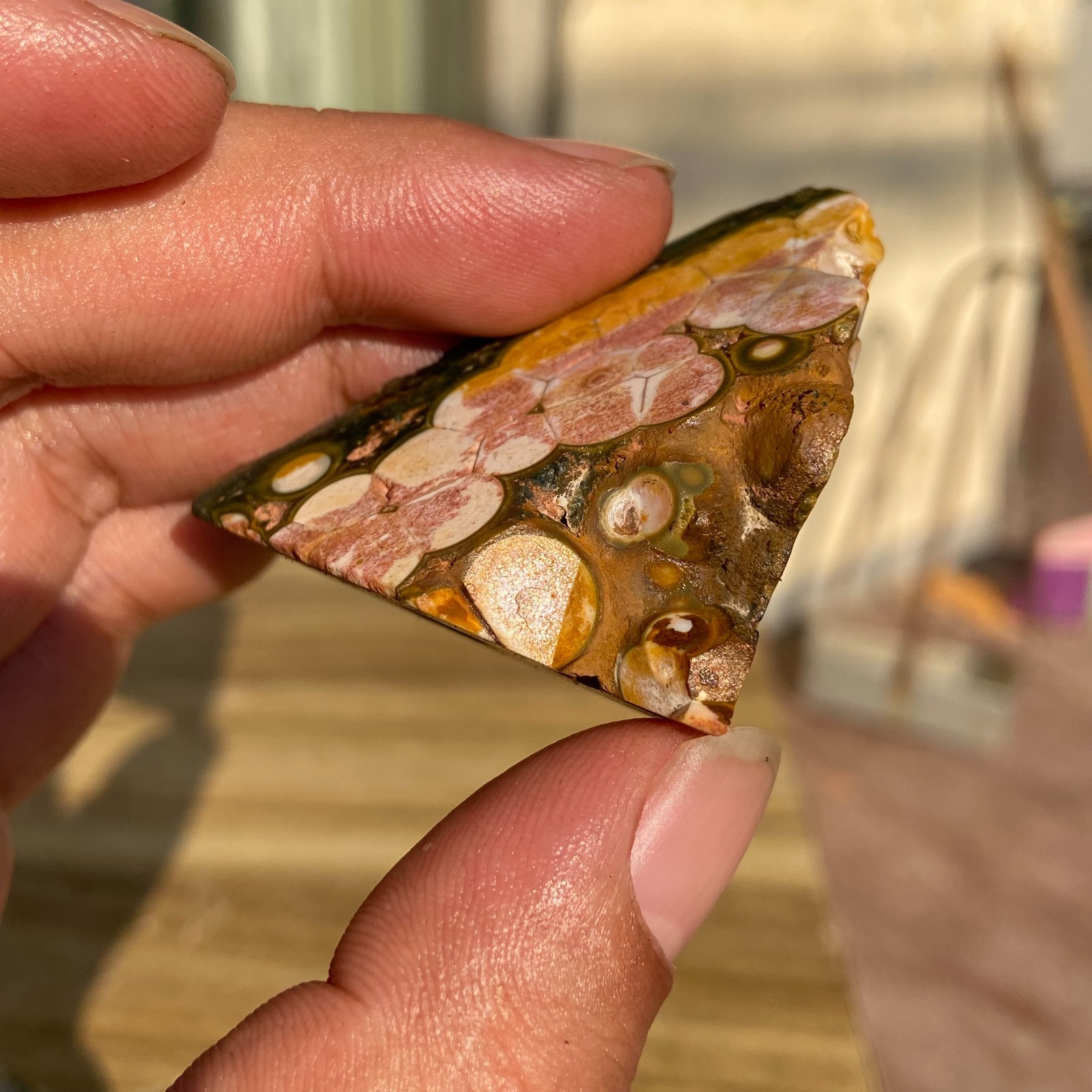39g Small Colourful Natural Ocean Jasper Rough Crystal Mineral Specimen Healing