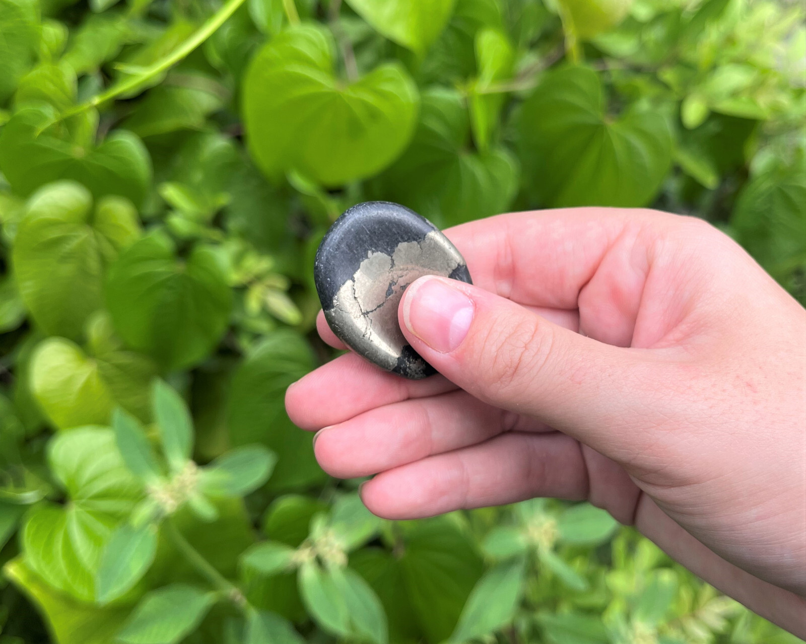 Pyrite Worry Stone (Polished Pyrite Crystal Gemstone, Pyrite Pocket Palm Stone)