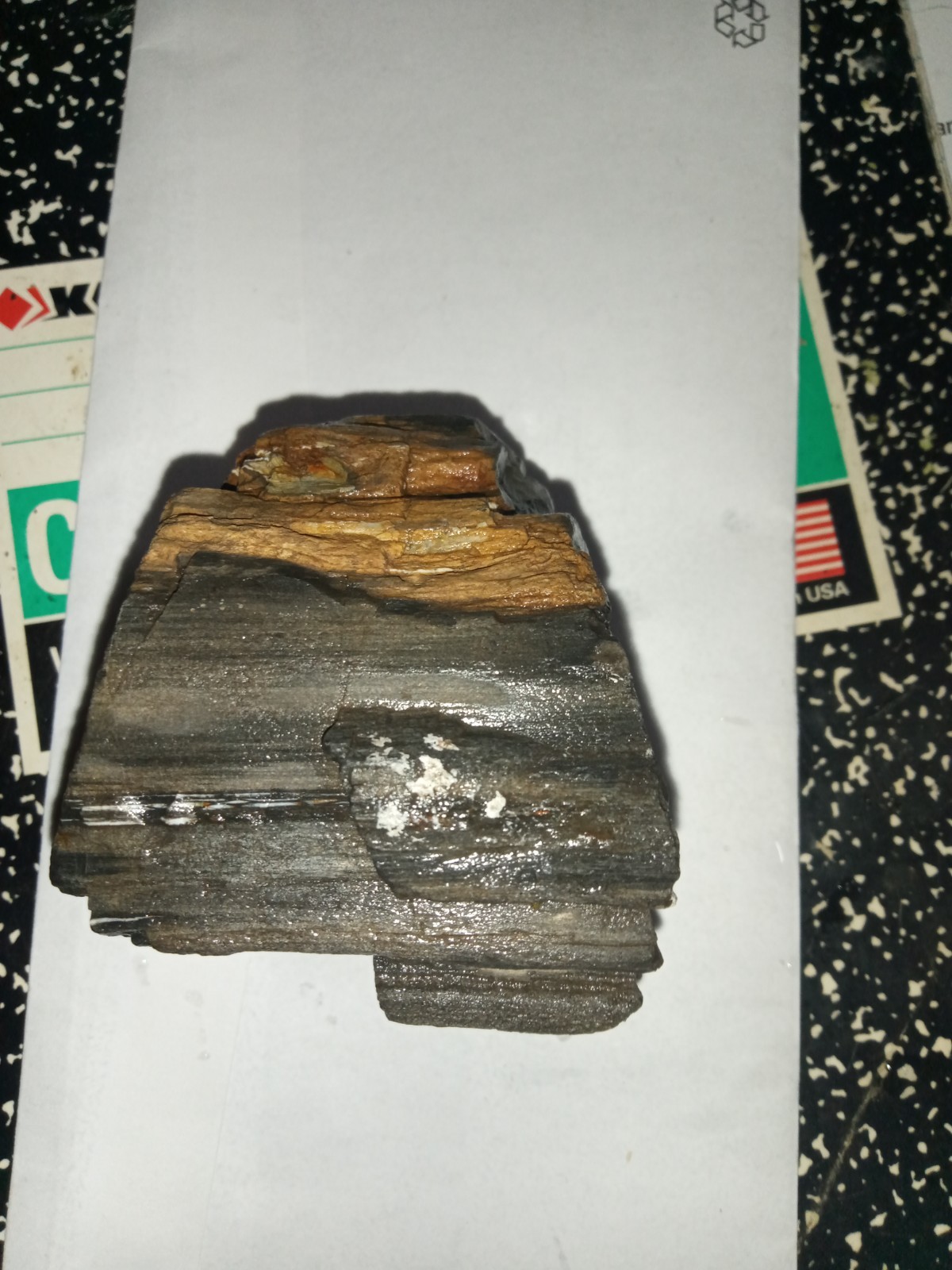 Beginning Stage Of Opalization On Petrafied Wood