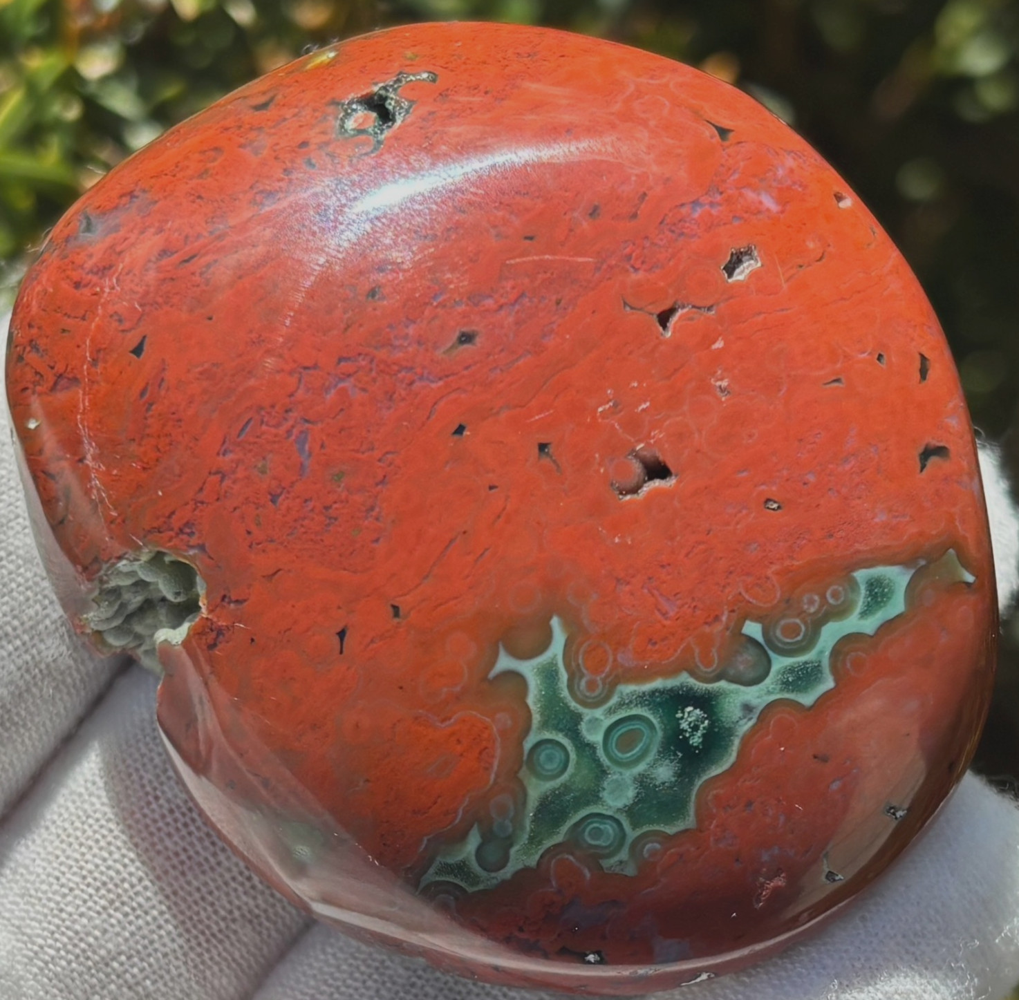 USA SALE 204g LOT OCEAN JASPER OJ PALMSTONE PALM STONES PALM STONE RED VEINLESS