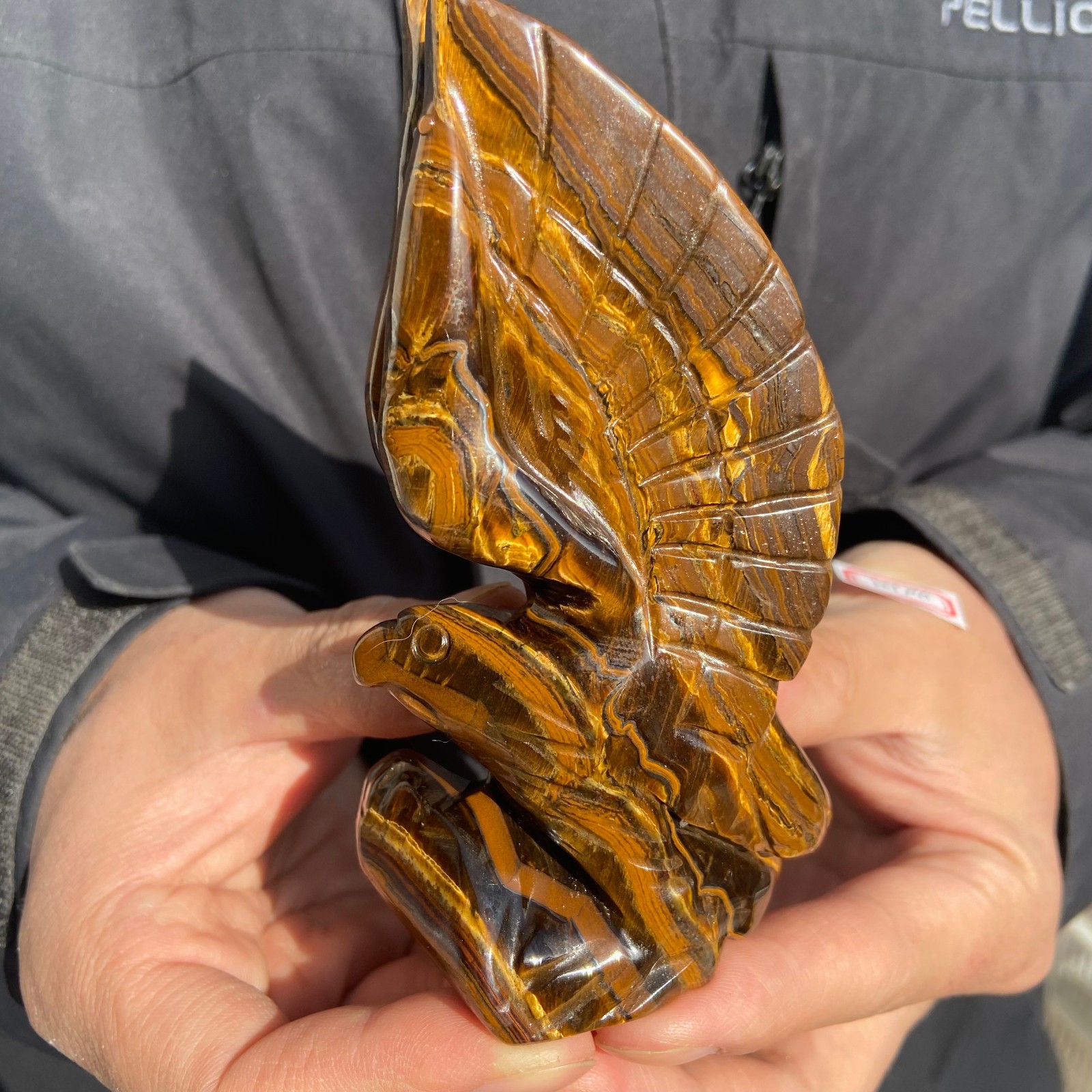 300g Natural Tiger-eye stone carved eagle-shaped quartz crystal mineral specime