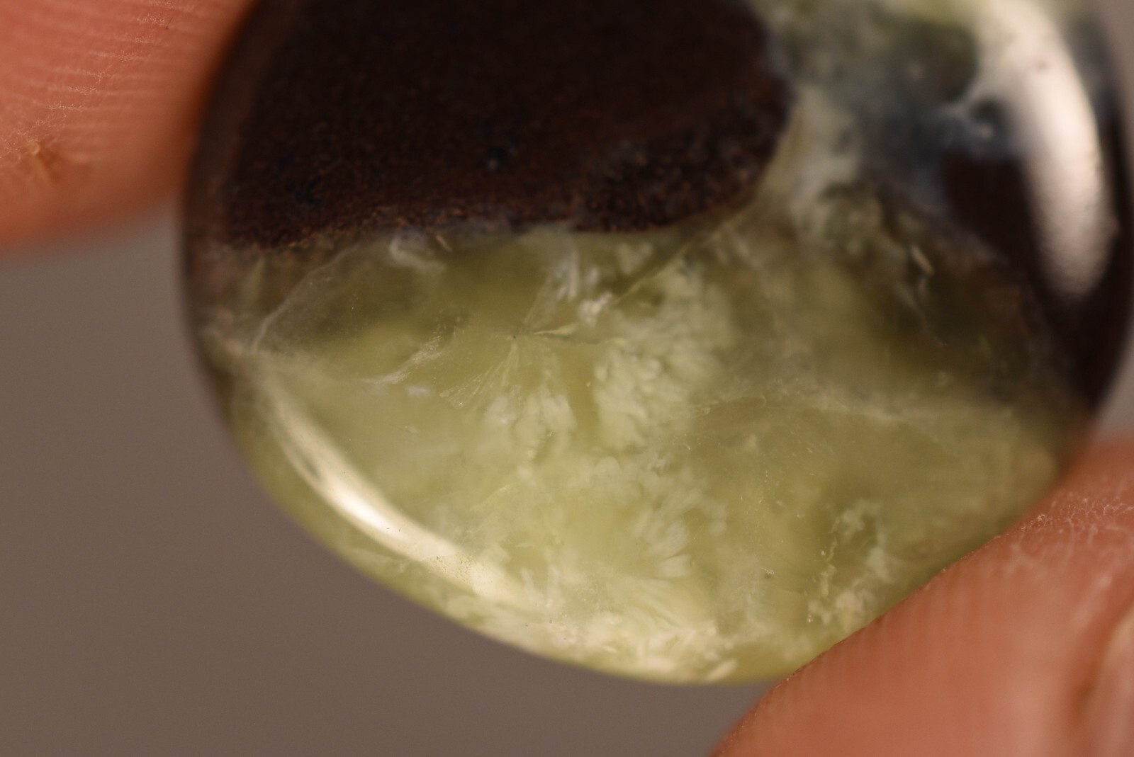 *AUSTRALIAN PREHNITE* Flat Stone 2.5cm 10g Palm Worry Natural Stone