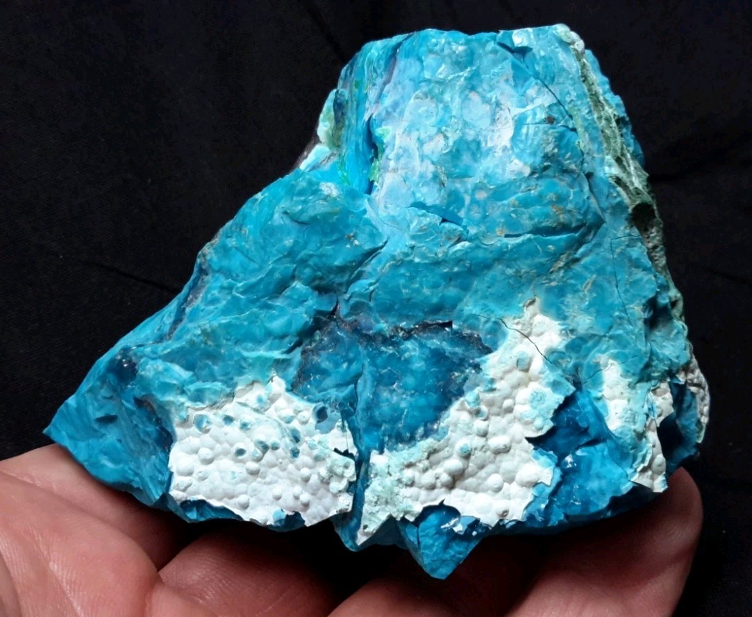 3.25″ CHRYSOCOLLA from Katanga, Democratic Republic of the Congo