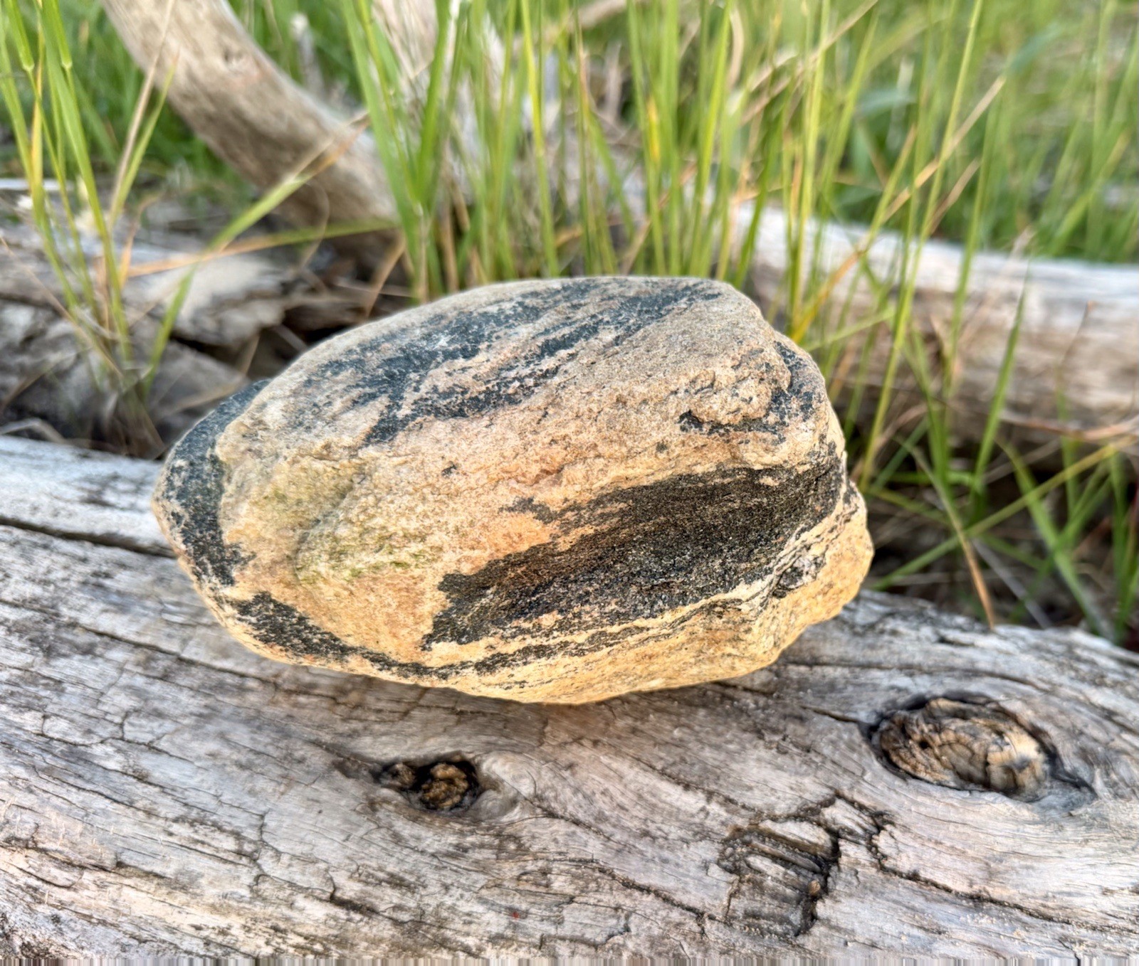 Natural Lake Michigan Rock Granite Large LOOK! 👀 3lb+ READ CAREFULLY