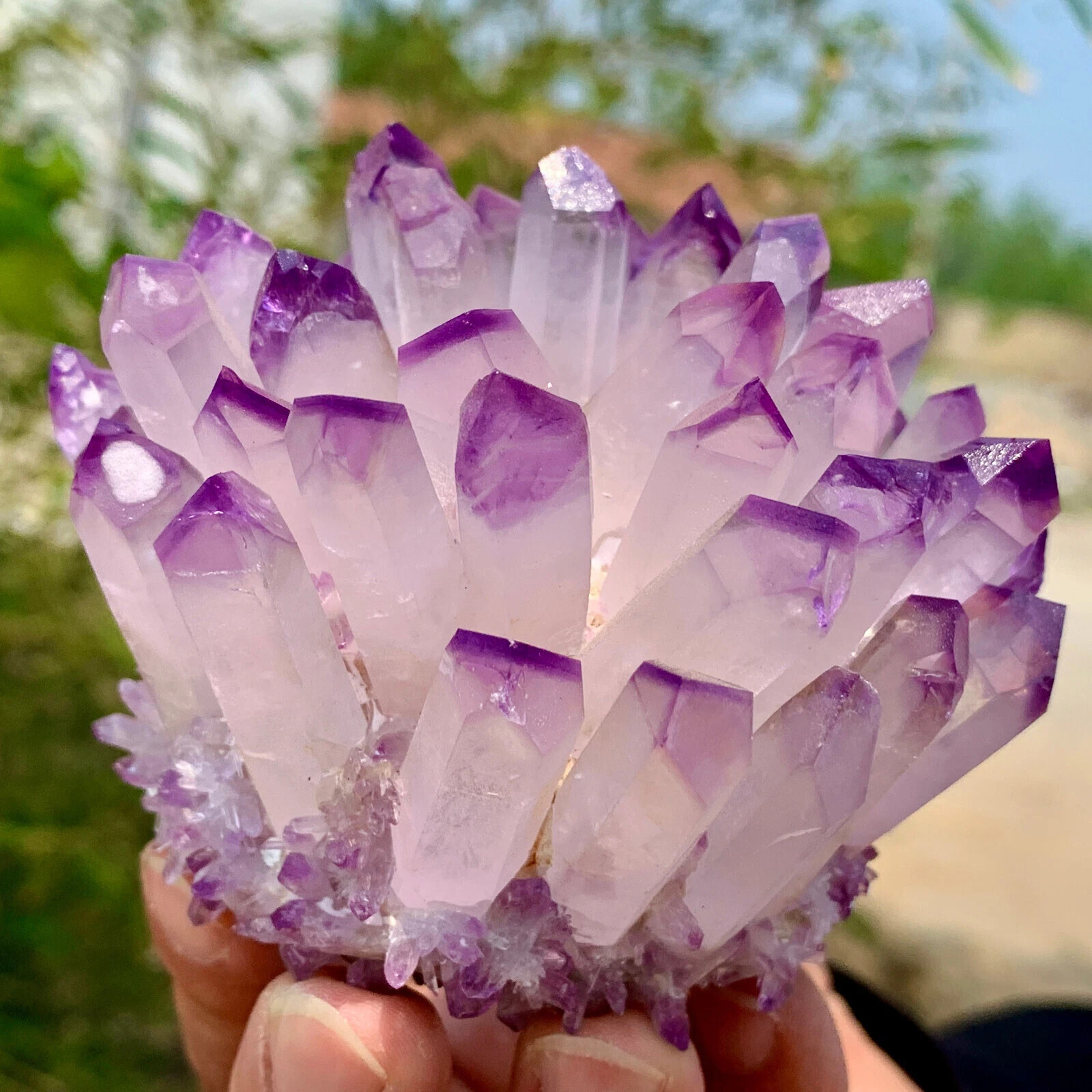 300gLarge Natural Light Purple Amethyst Phantom Quartz Cluster Crystal HomeDecor