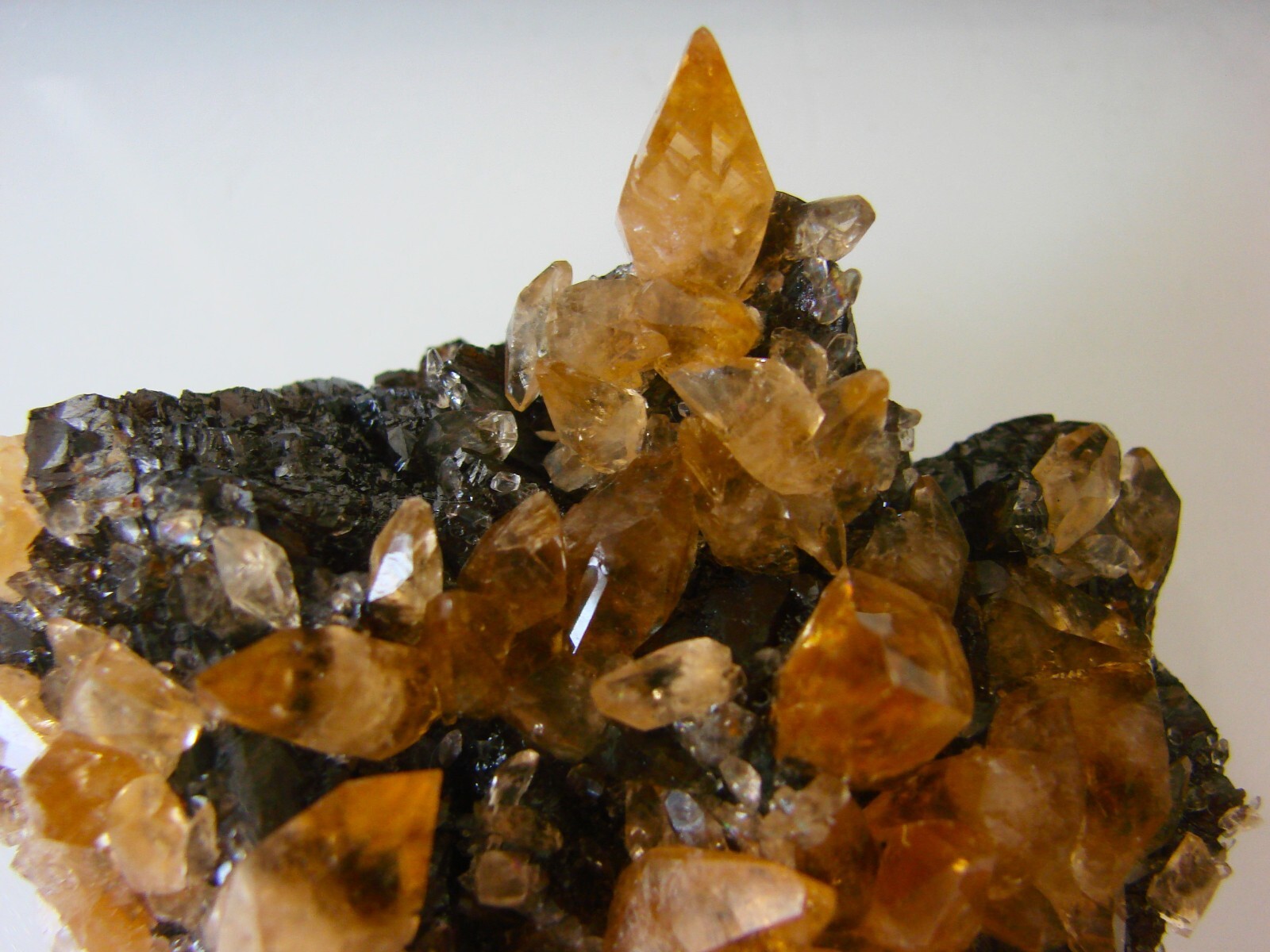 GOLDEN CALCITE ON SPHALERITE, Cumberland Mine, Carthage, Tennessee USA