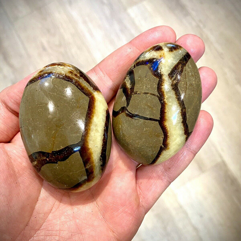 2X Septarian Crystal Dragon Stone Healing Crystal Yoga Meditation Mineral 3-4cm