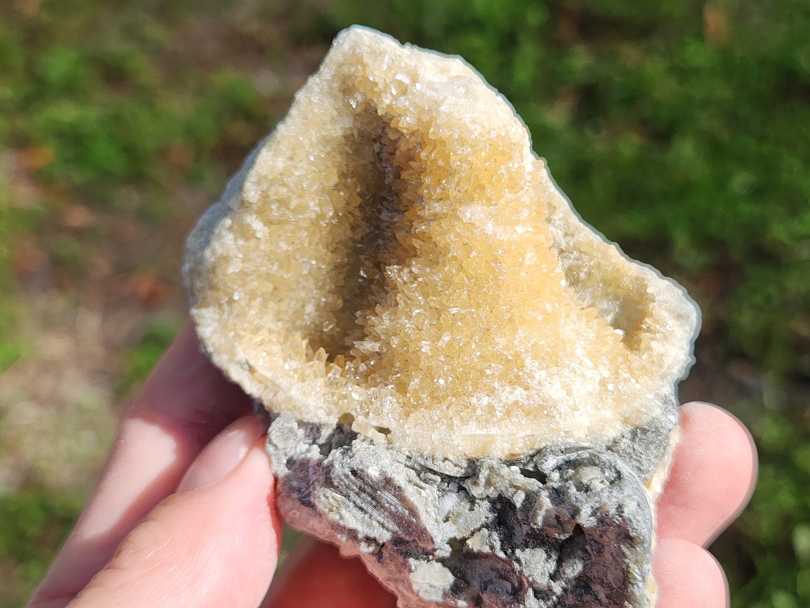 SET OF 3 Calcite CRYSTAL WHELK Shells Fossil Rucks Pit Florida dogtooth LOT