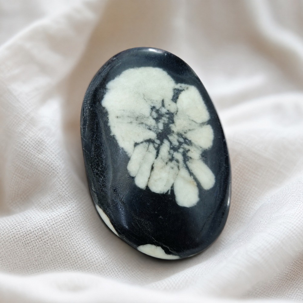 50-100g Random Irregular Chrysanthemum Crystal Palm Stone Healing Decor Gift