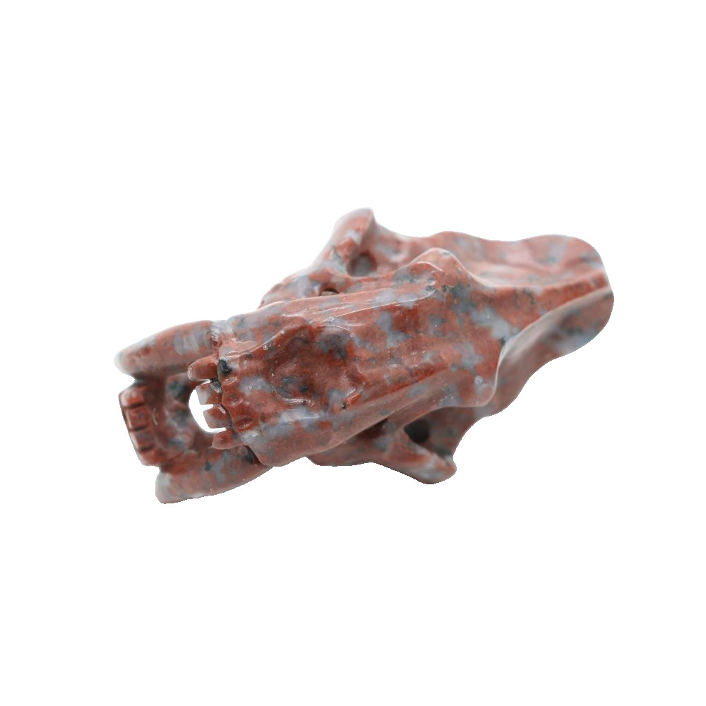 3″ RED WHITE STONE Carved Saber-toothed tiger Crystal Skull Random 1pc