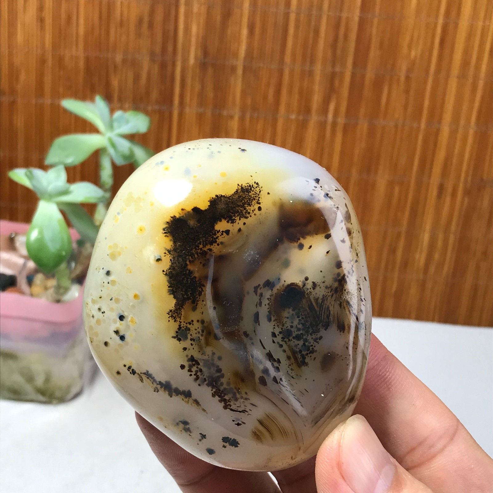 71mm Natural aquatic plants agate pretty Crystal specimens 210g A1637