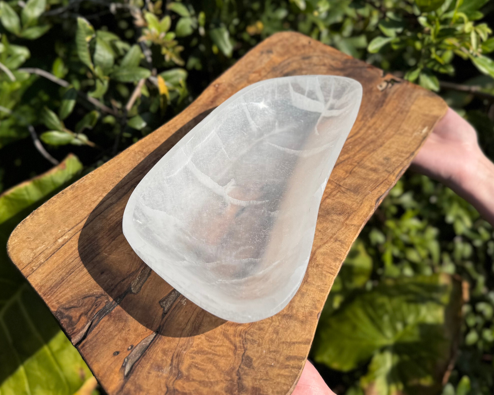 HUGE 10″ Selenite Free Form Charging Bowls (Selenite Crystal Bowl,Selenite Bowl)