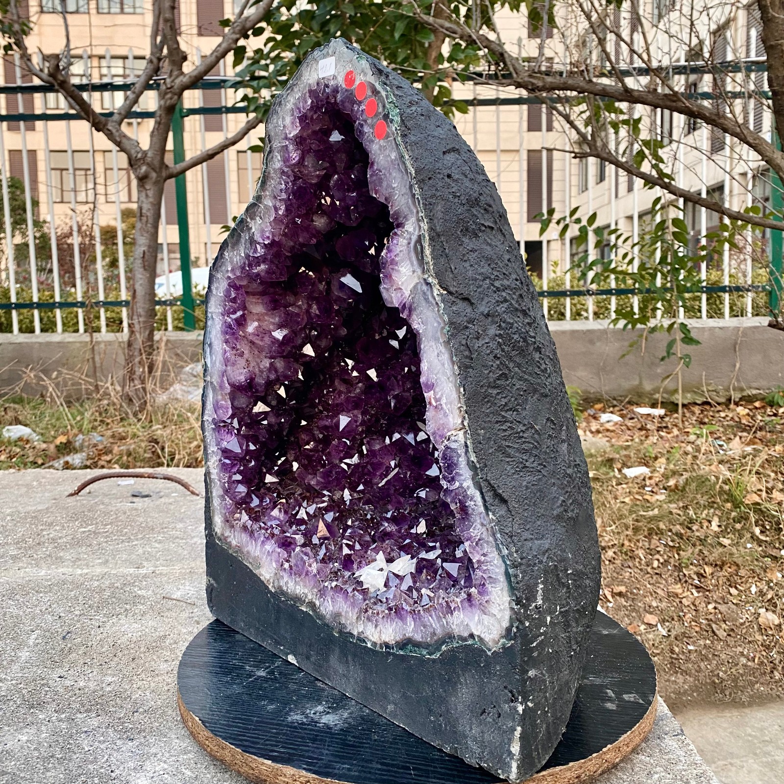 92.8LB Natural Amethyst Geode Quartz Crystal Cluster Cathedral Energy healing