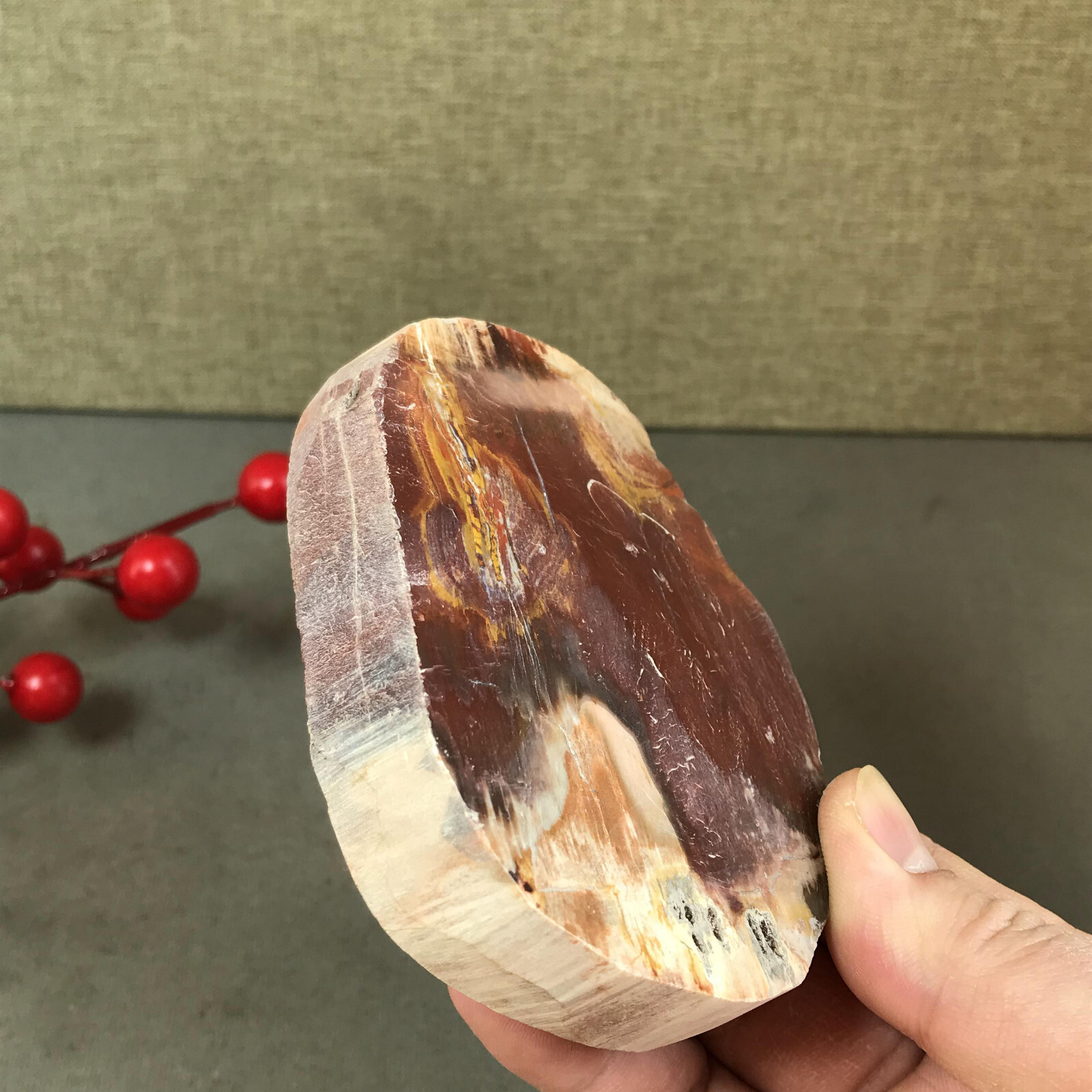 92mm natural Beautiful Petrified Wood Crystal Slice mineral specimen 266g A5424