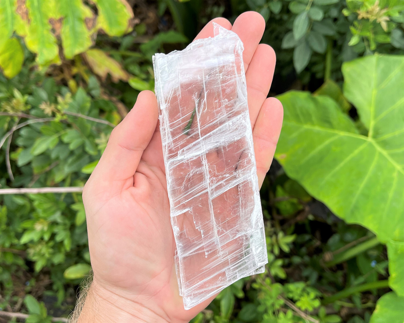 JUMBO Natural Selenite Slabs & Stand! Raw Selenite Slice, Selenite Crystal Plate