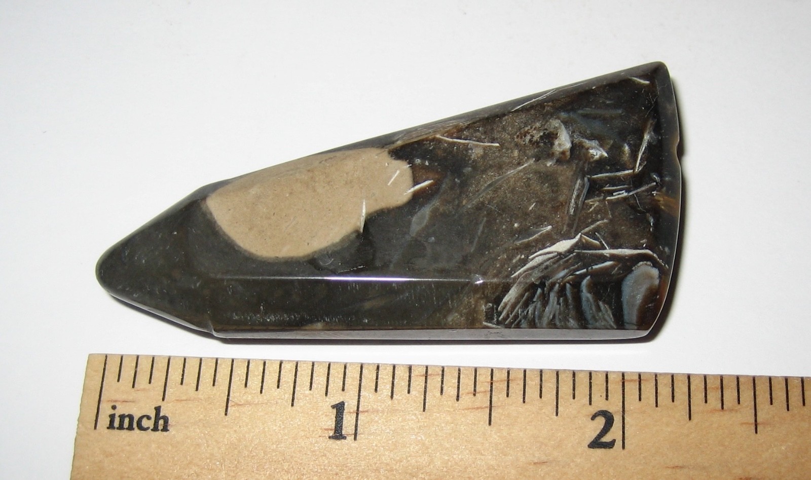 2.4″ x 1″ TUMBLED POLISHED CABOCHON STYLE CUT FOSSIL FORAMINIFERA STONE 28.4g *4