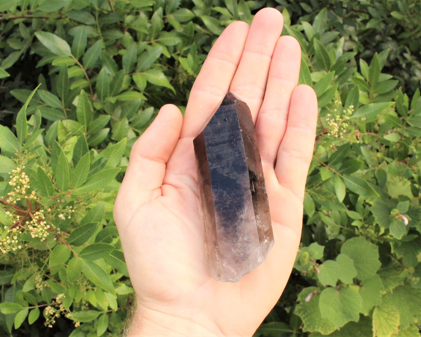 Smoky Quartz Points, LARGE ‘AAA’ Grade Smoky Quartz Crystal Point: Choose Size