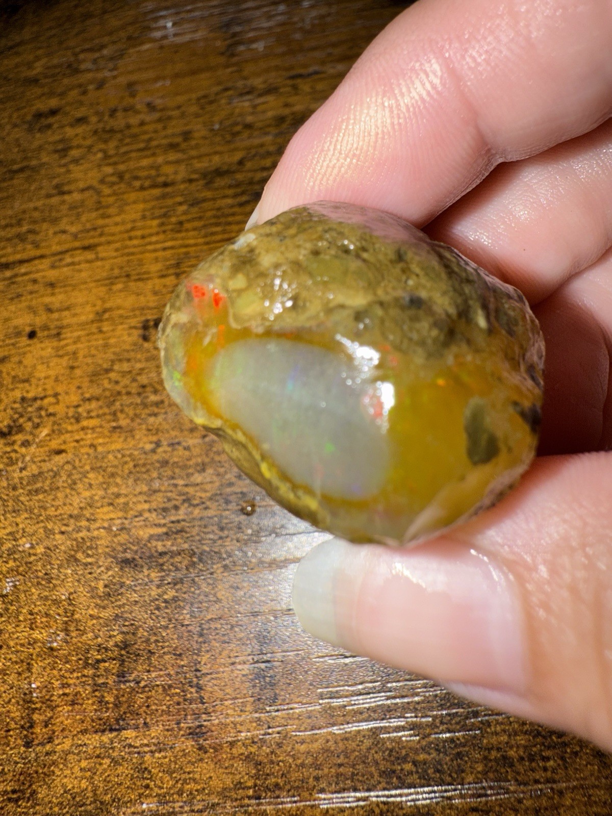 Rough Opal Specimen Nodule, Uncut Cabbing Rough w/ Multicolor Fire Play
