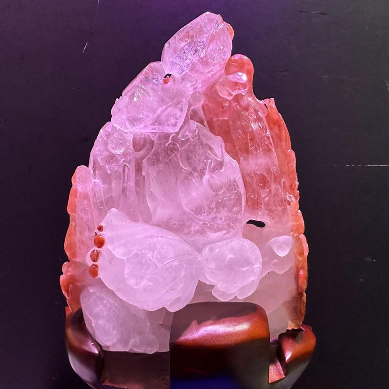 12LB Top Natural Red quartz crystal Dragon + Phoenix Carved Crystal skull Reiki