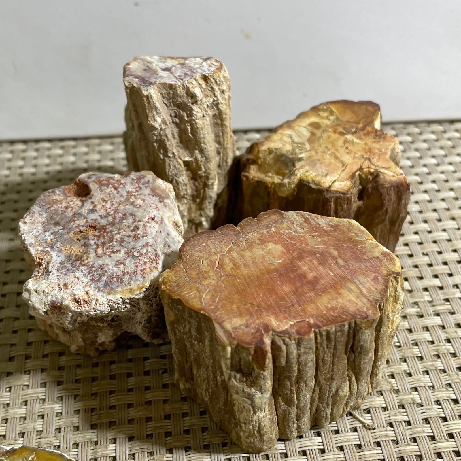 4pcs Natural Polished Petrified Wood Crystal Slice Madagascar 374g