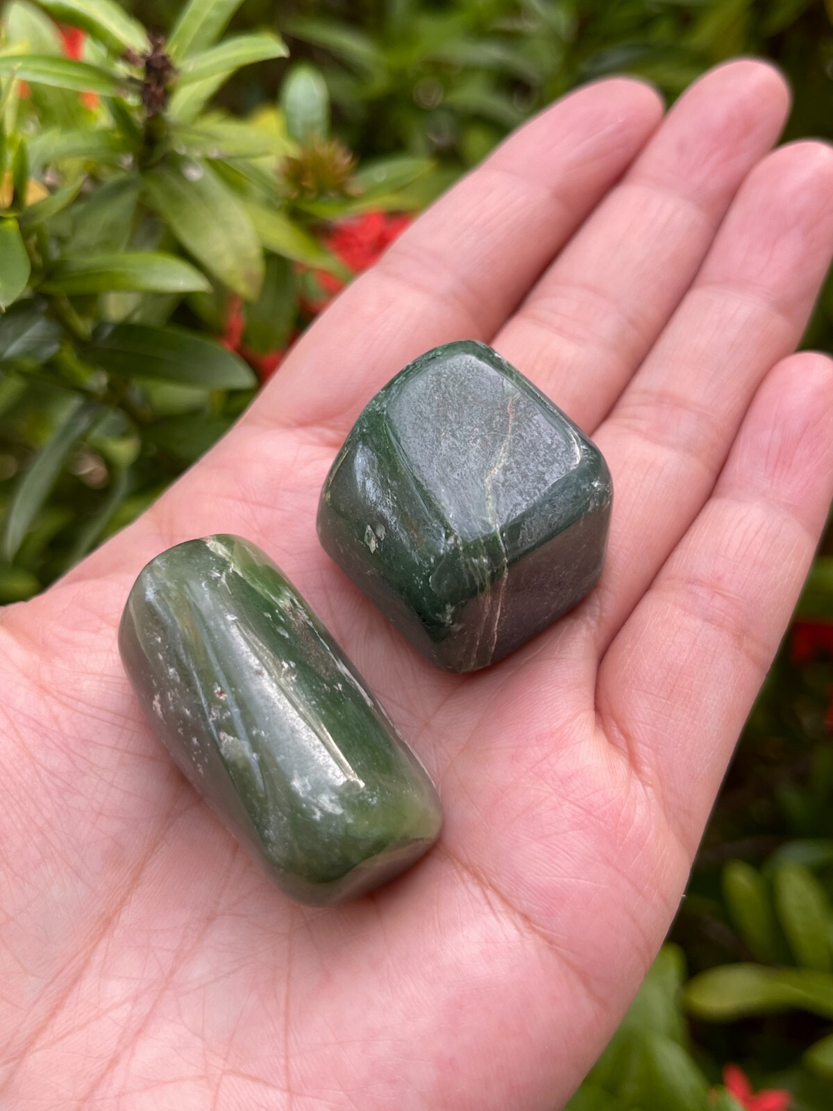 Nephrite Jade Tumbled Stones, 1-1.5 Inch Nephrite Jade Crystals, Healing Crystal